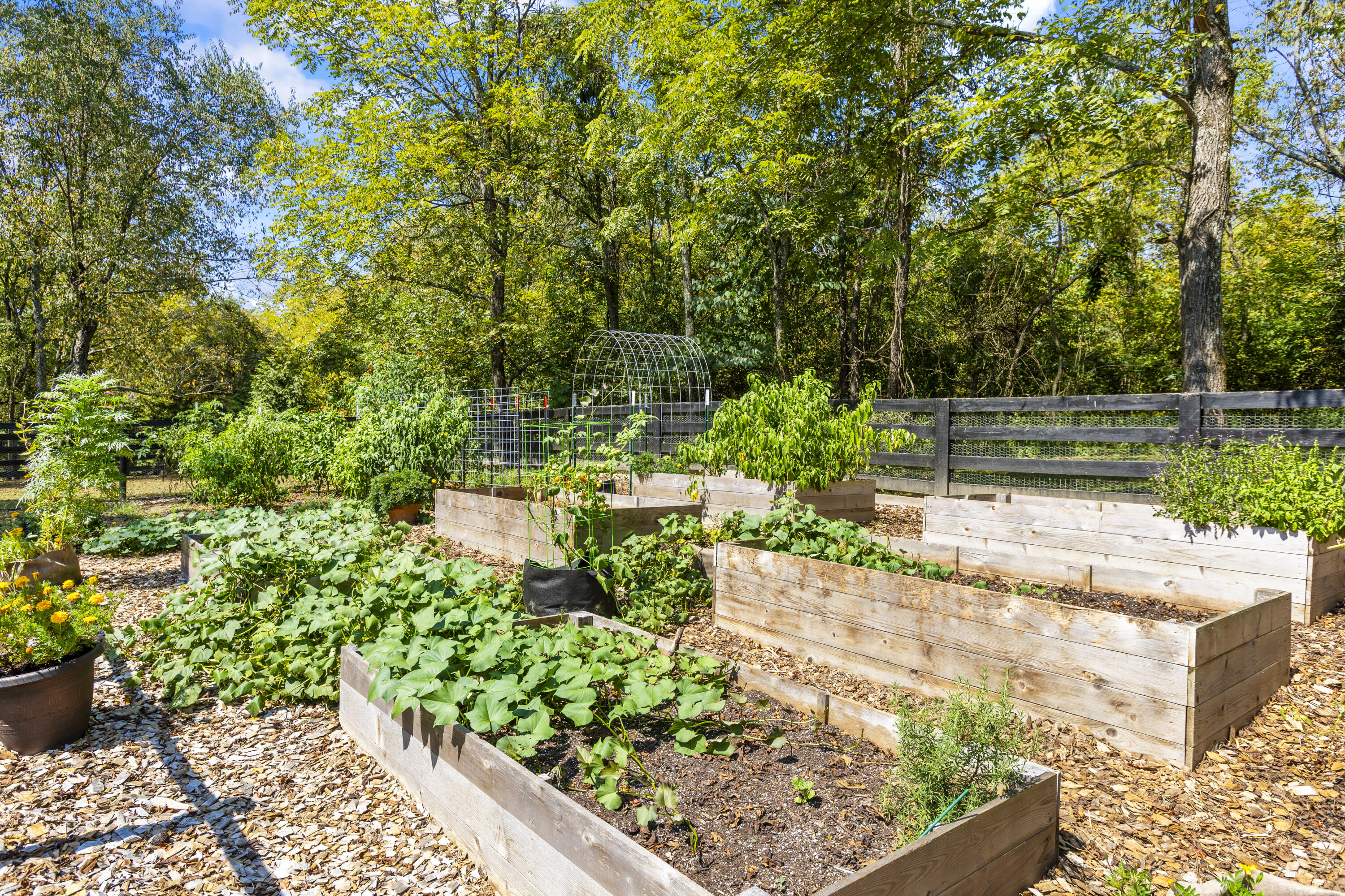 5041 Chinquapin Lane Property Photo 60
