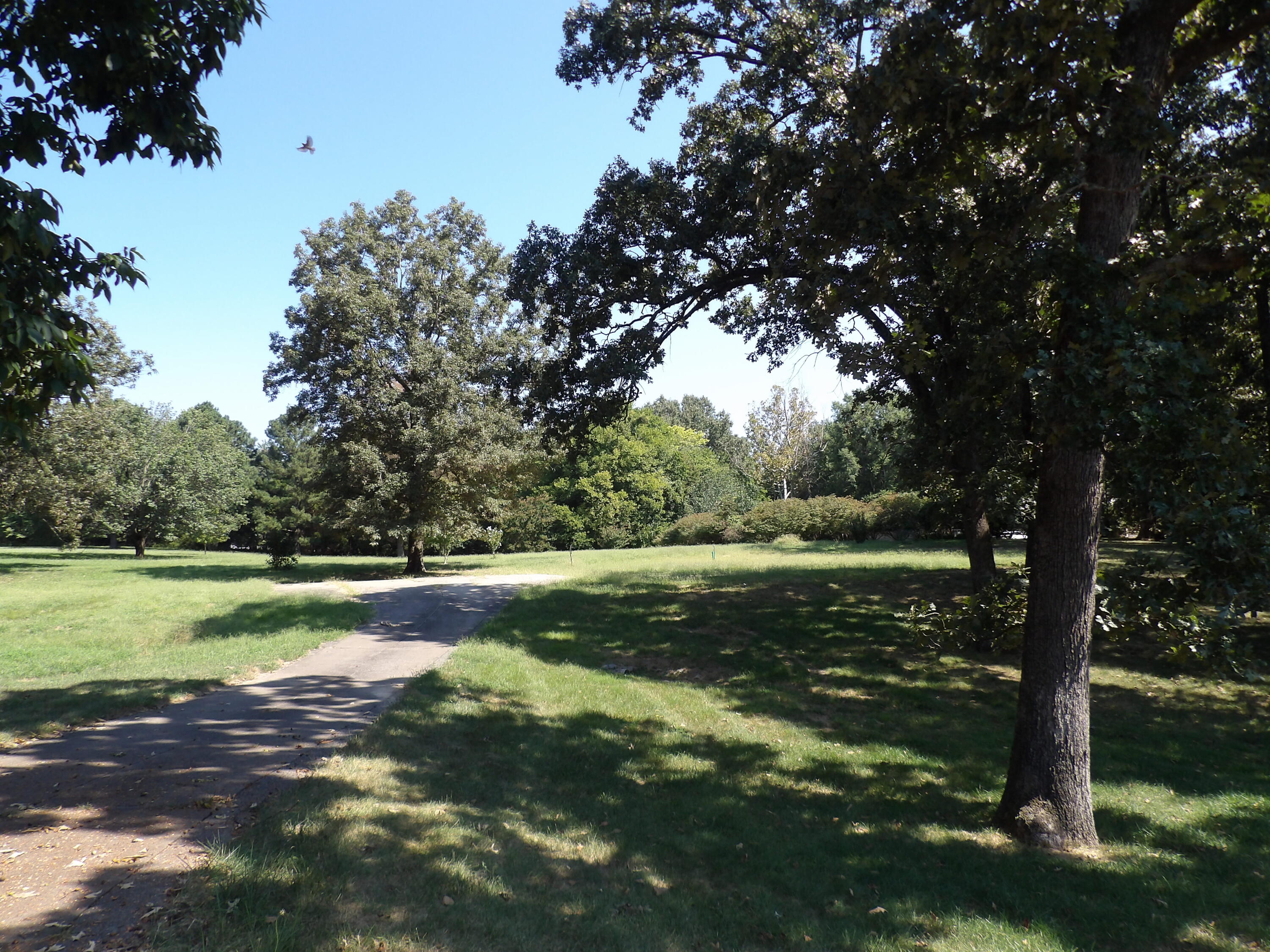 337 Fly-away Drive Property Photo 2