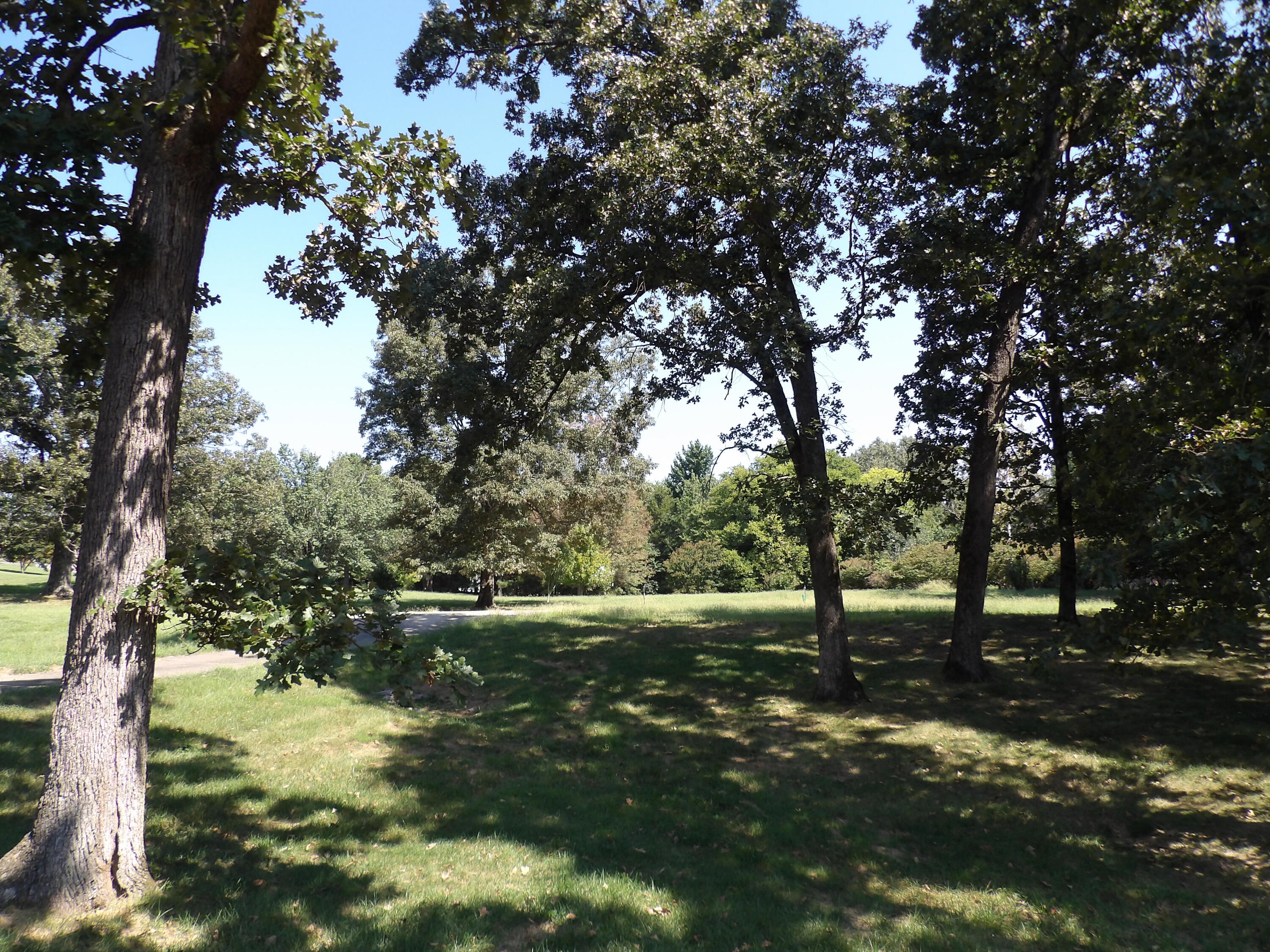 337 Fly-away Drive Property Photo 16