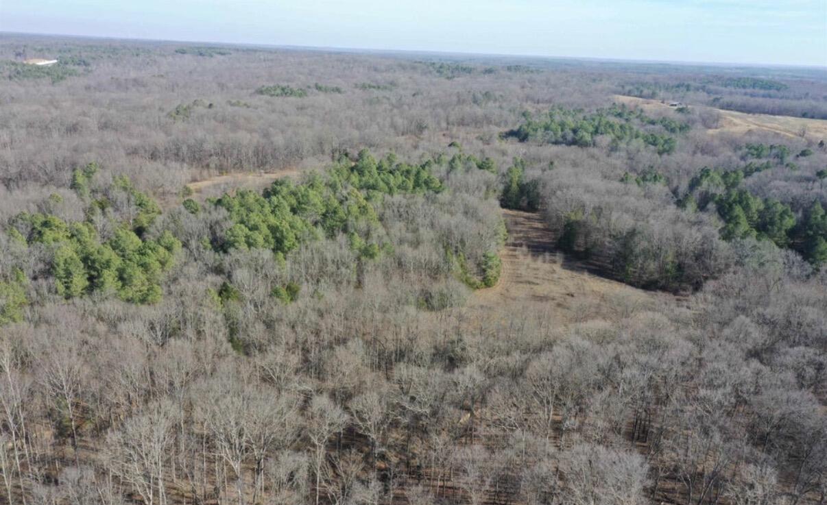 0 Austin Springs Road Property Photo 2