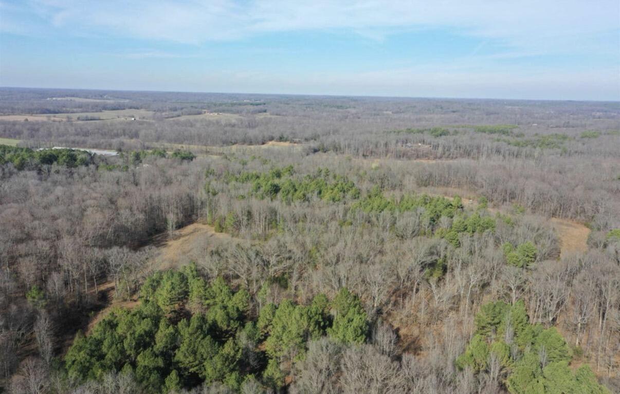 0 Austin Springs Road Property Photo 3