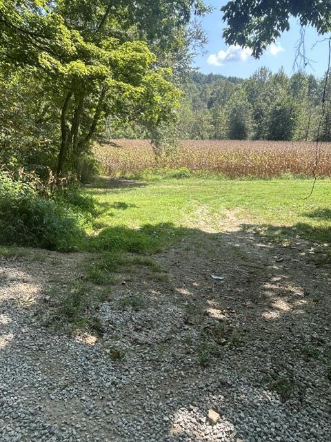 0 Elbert Shephard Road Property Photo 3