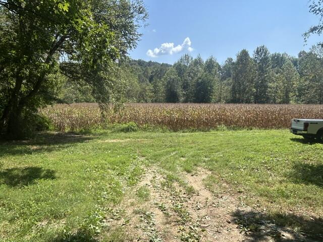 0 Elbert Shephard Road Property Photo 6