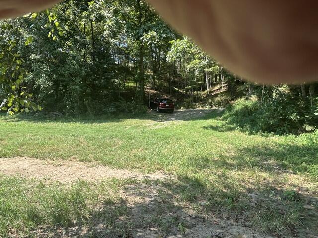 0 Elbert Shephard Road Property Photo 8
