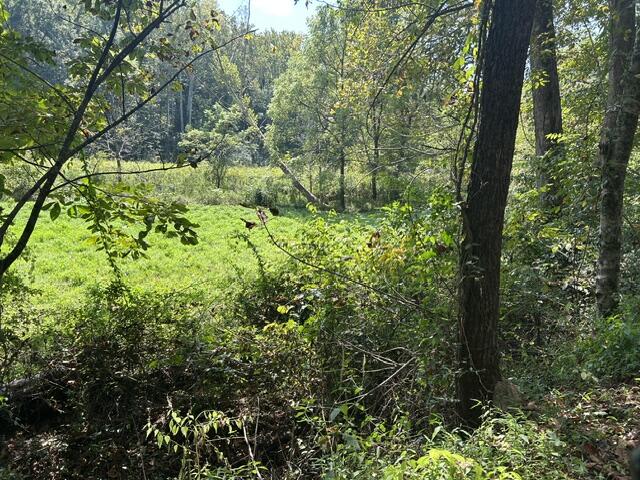 0 Elbert Shephard Road Property Photo 9