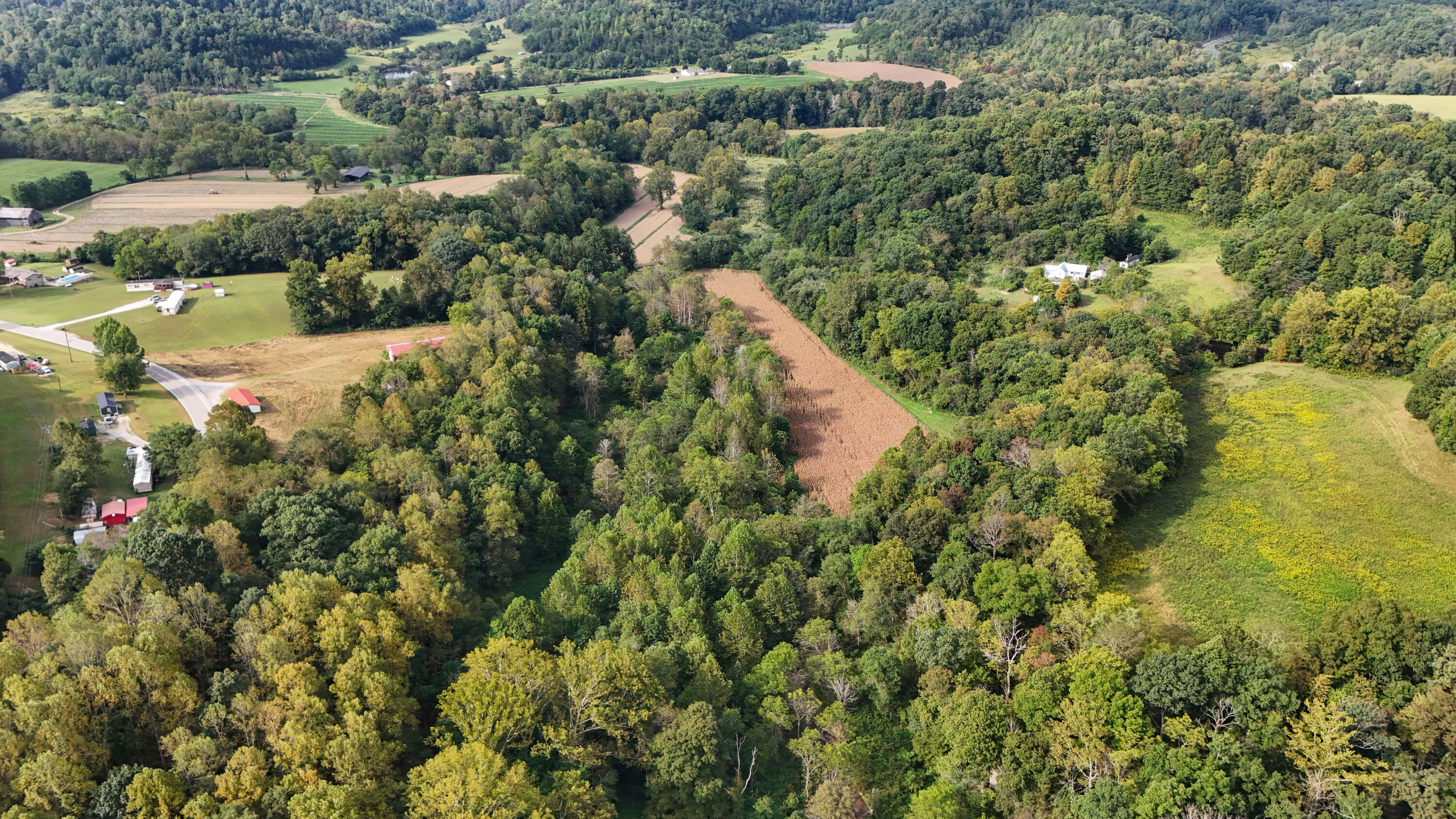 0 Elbert Shephard Road Property Photo 10