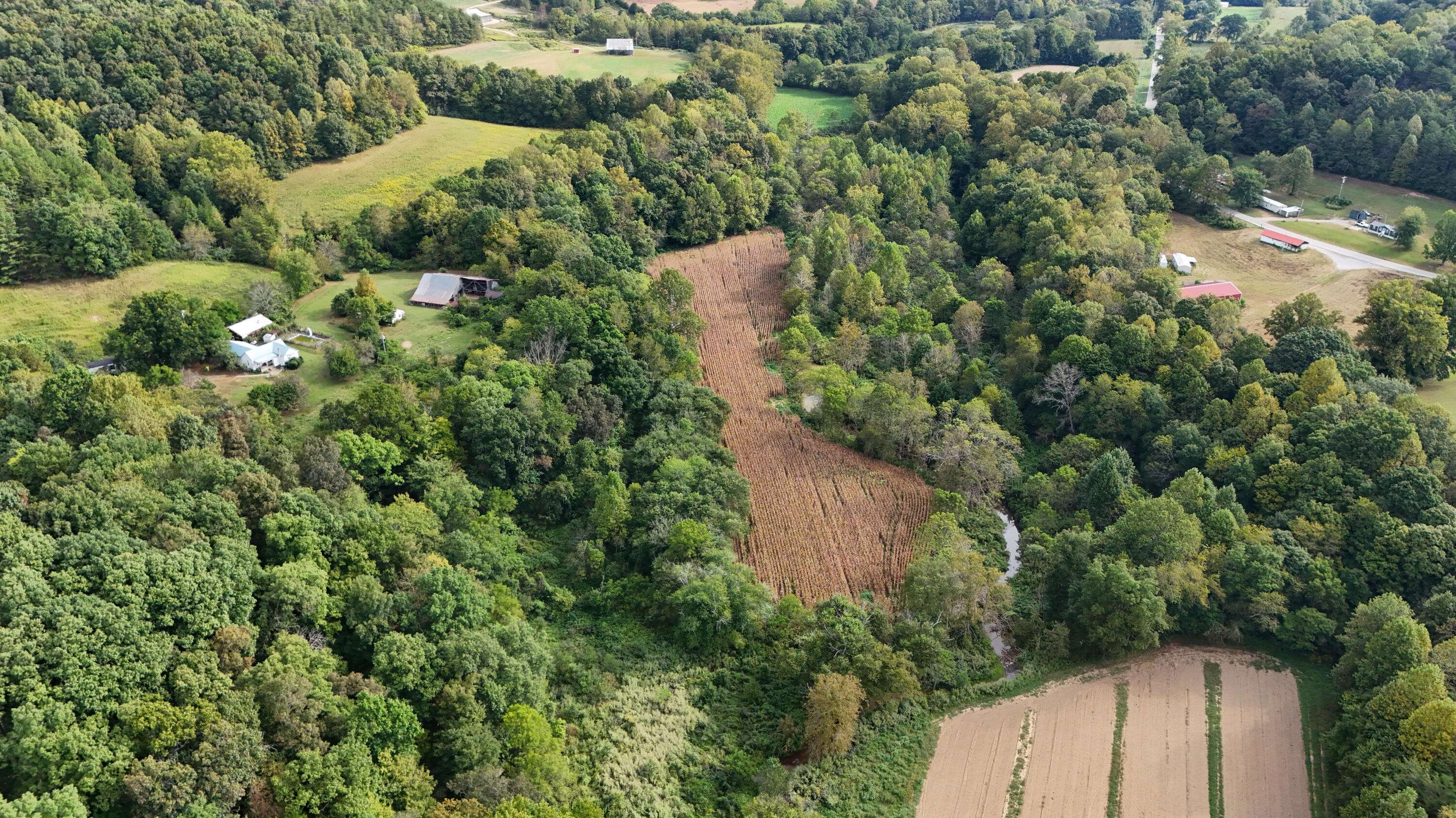 0 Elbert Shephard Road Property Photo 12
