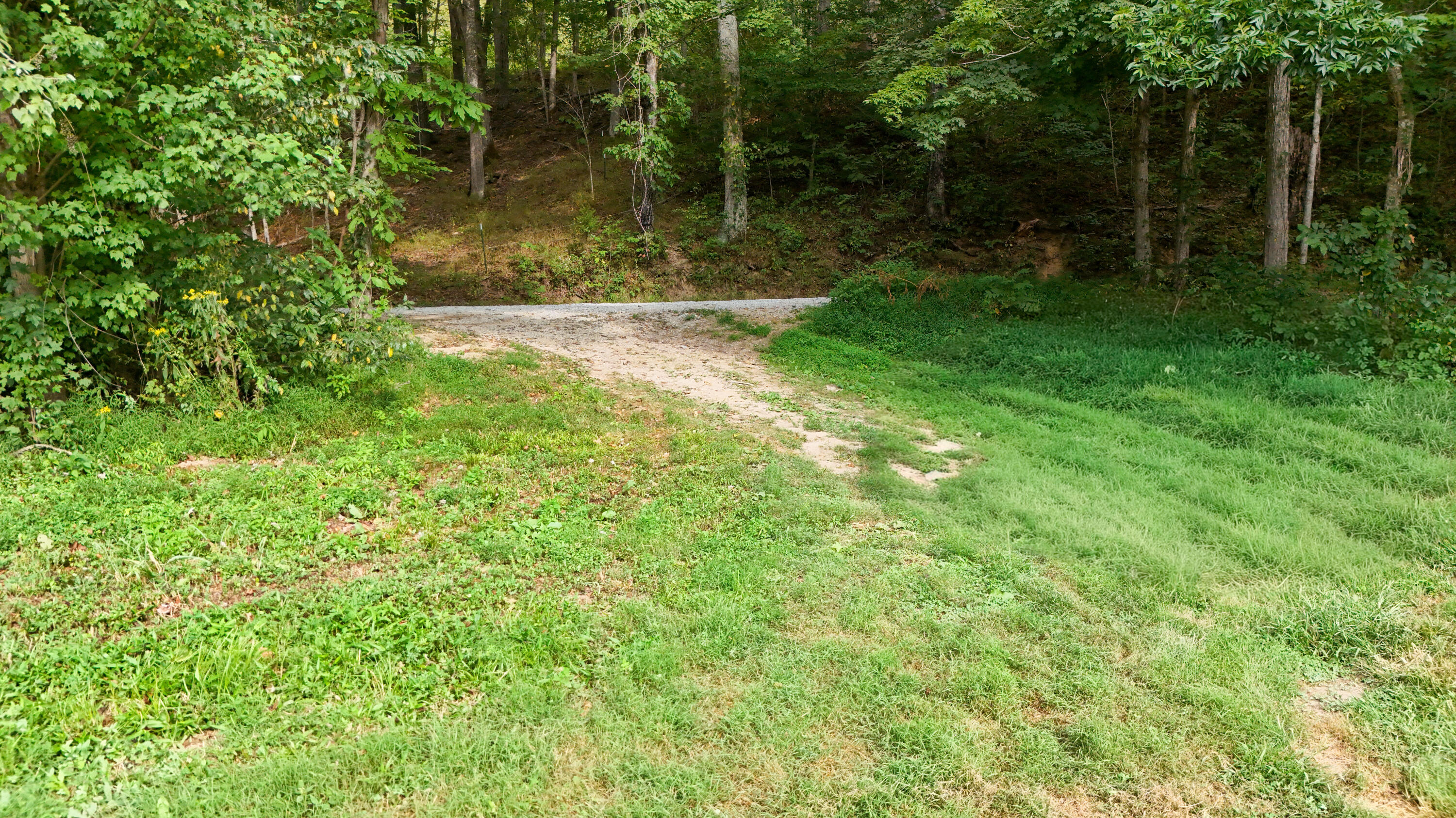 0 Elbert Shephard Road Property Photo 24