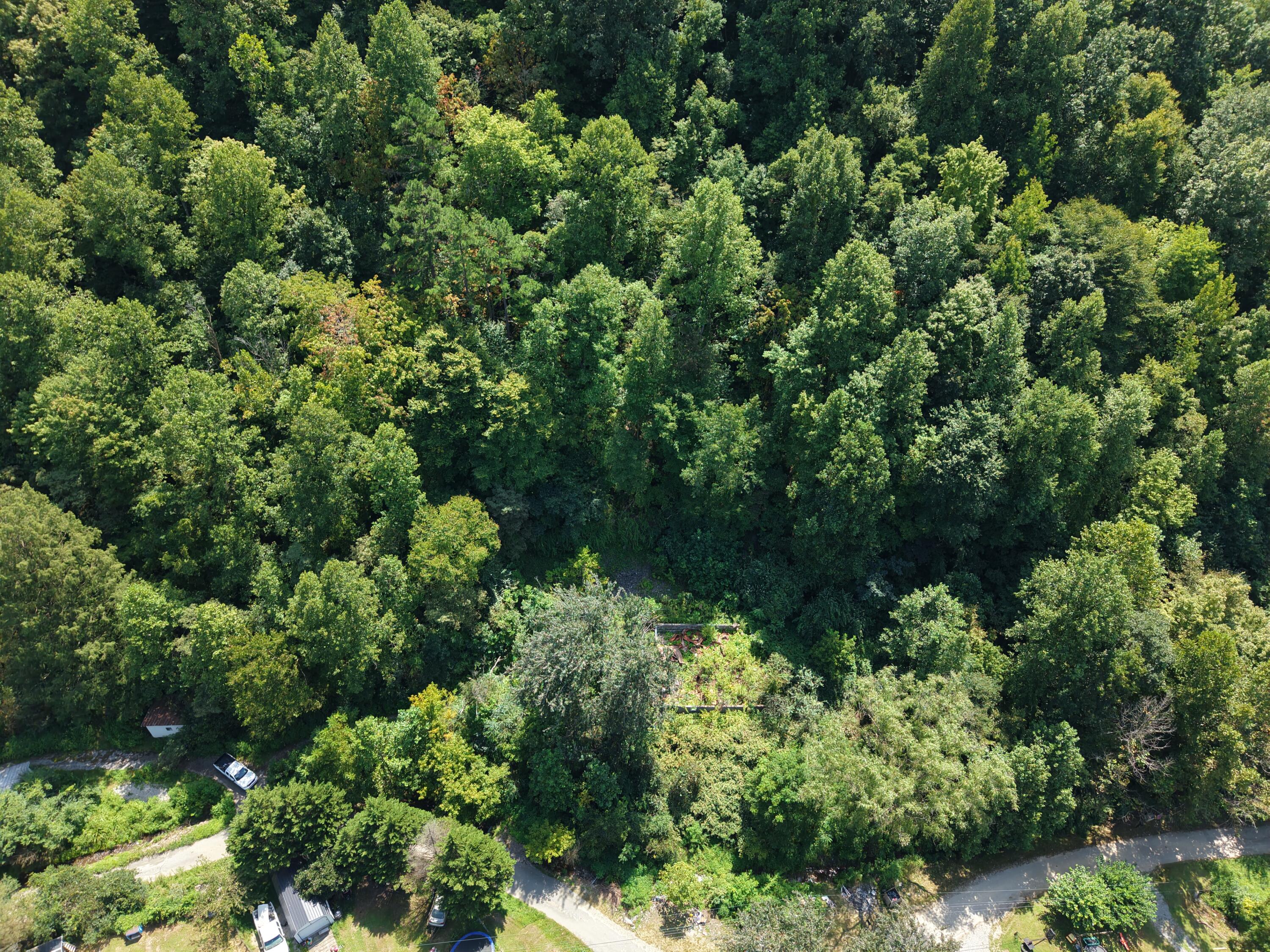 129 Pigeon Roost Branch Property Photo 2