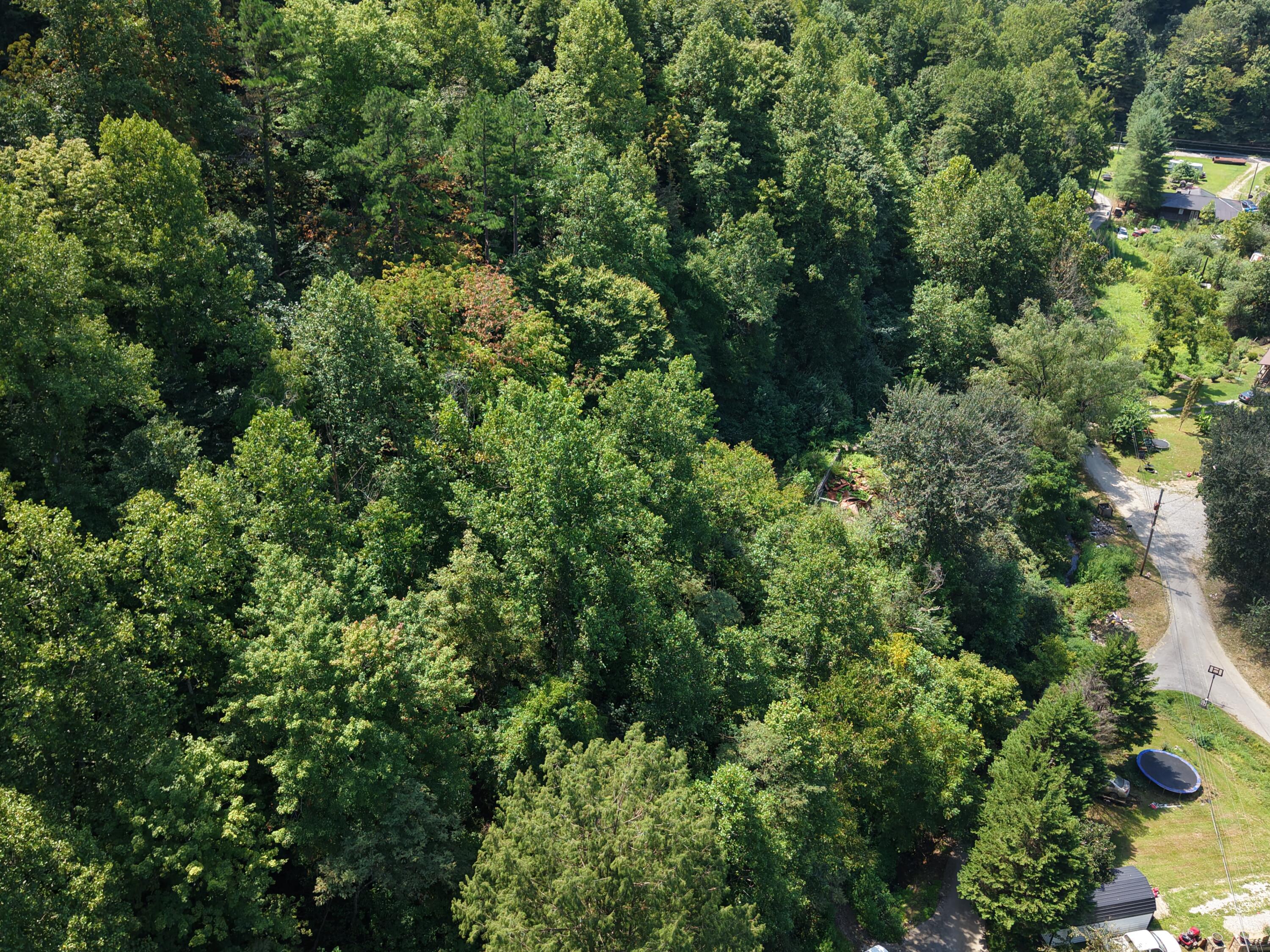 129 Pigeon Roost Branch Property Photo 3