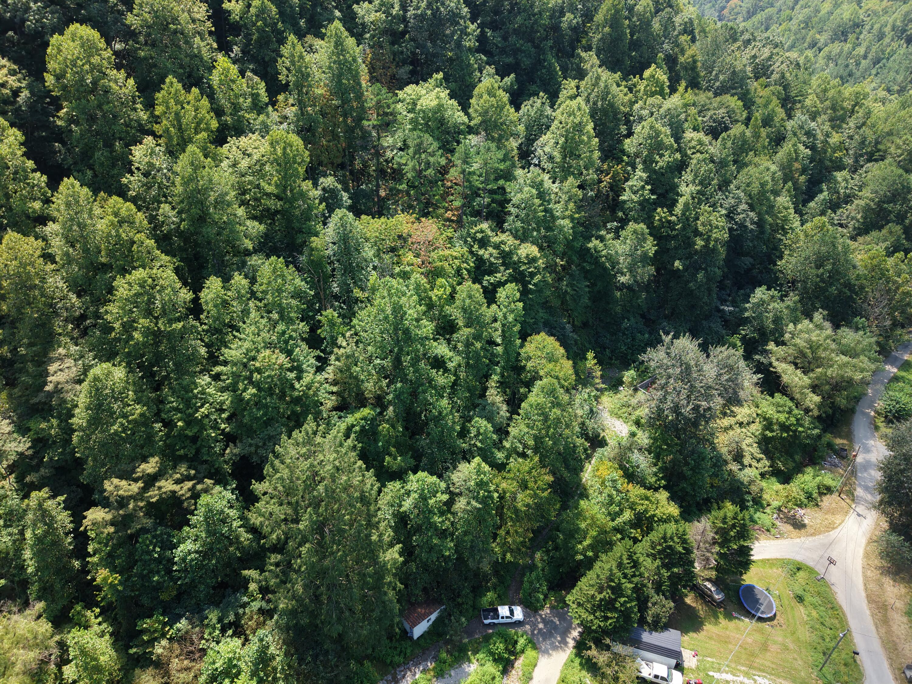 129 Pigeon Roost Branch Property Photo 4