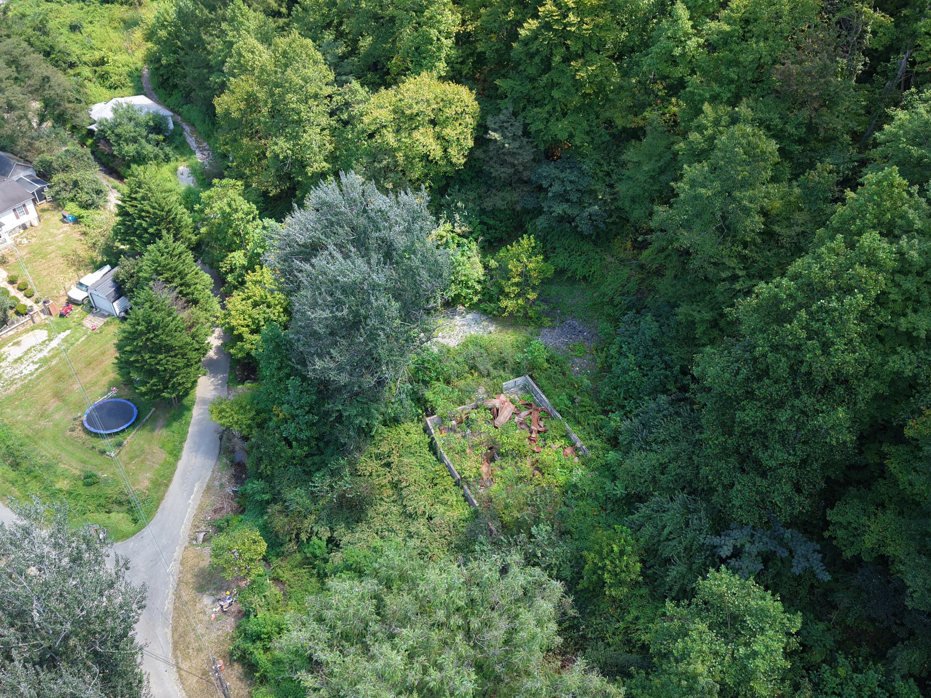 129 Pigeon Roost Branch Property Photo 5