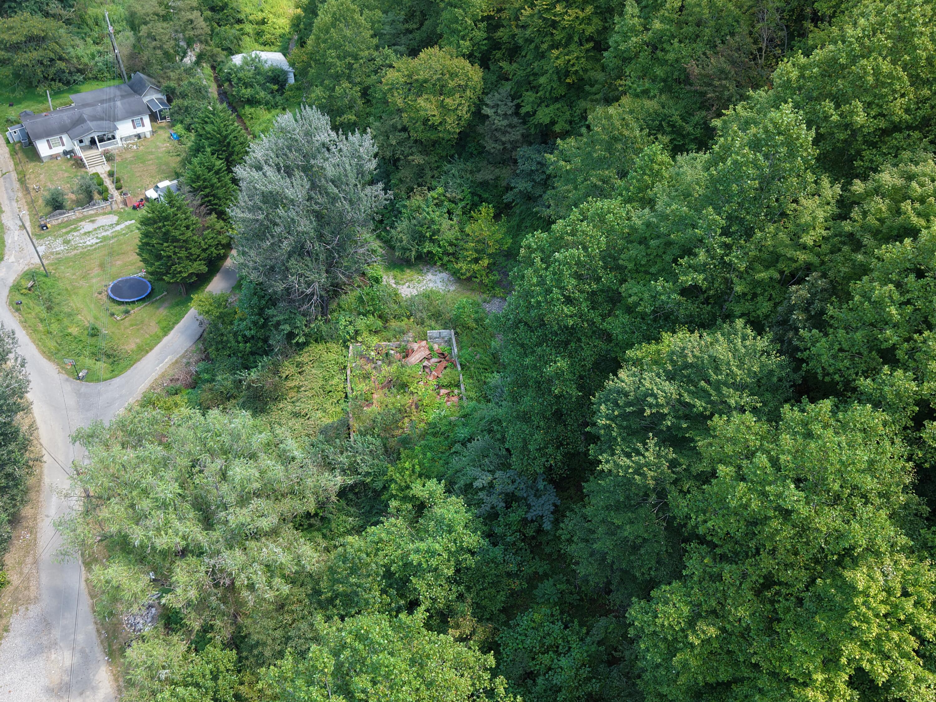 129 Pigeon Roost Branch Property Photo 6