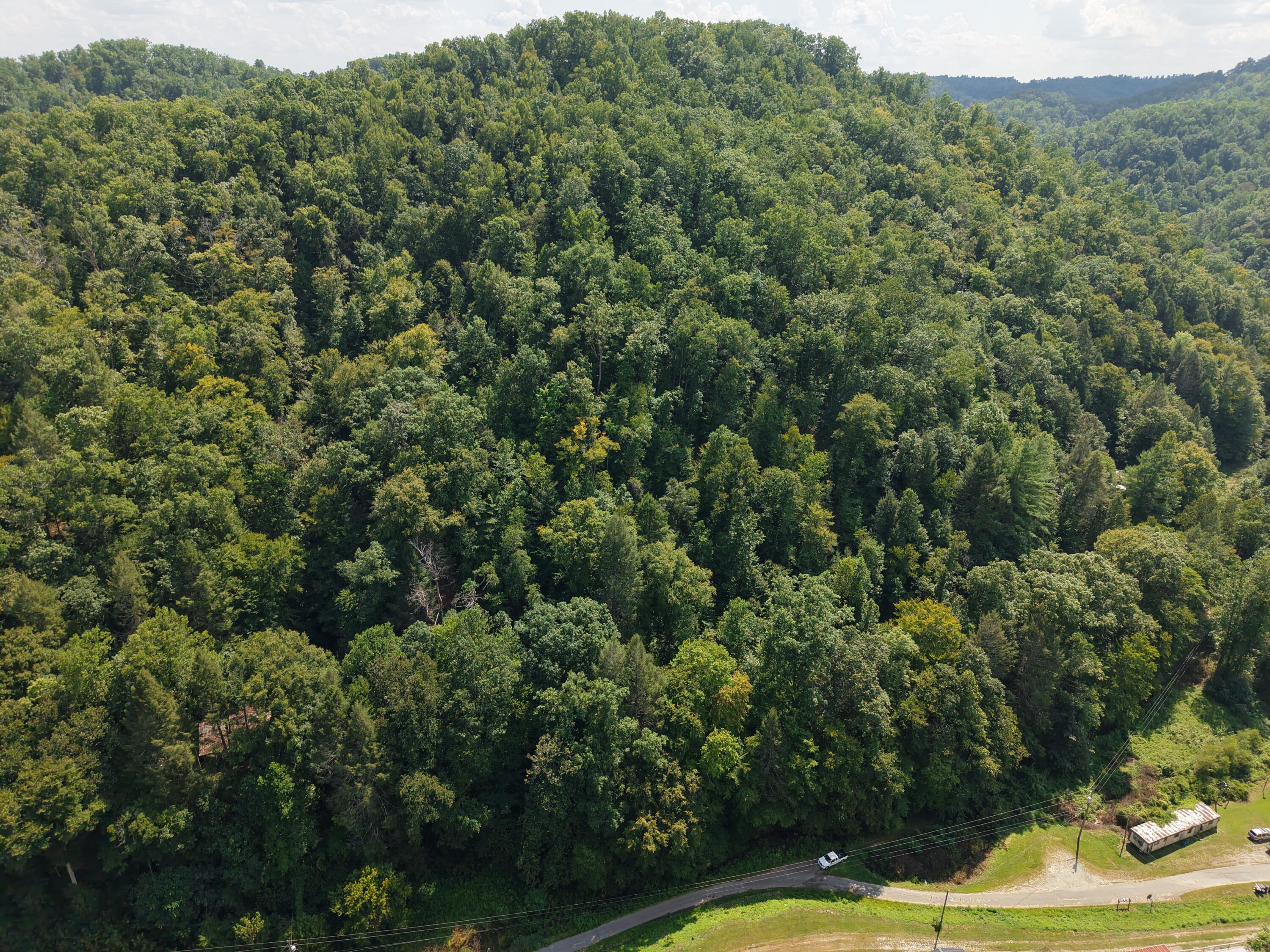 1081 Wooten Fork Road