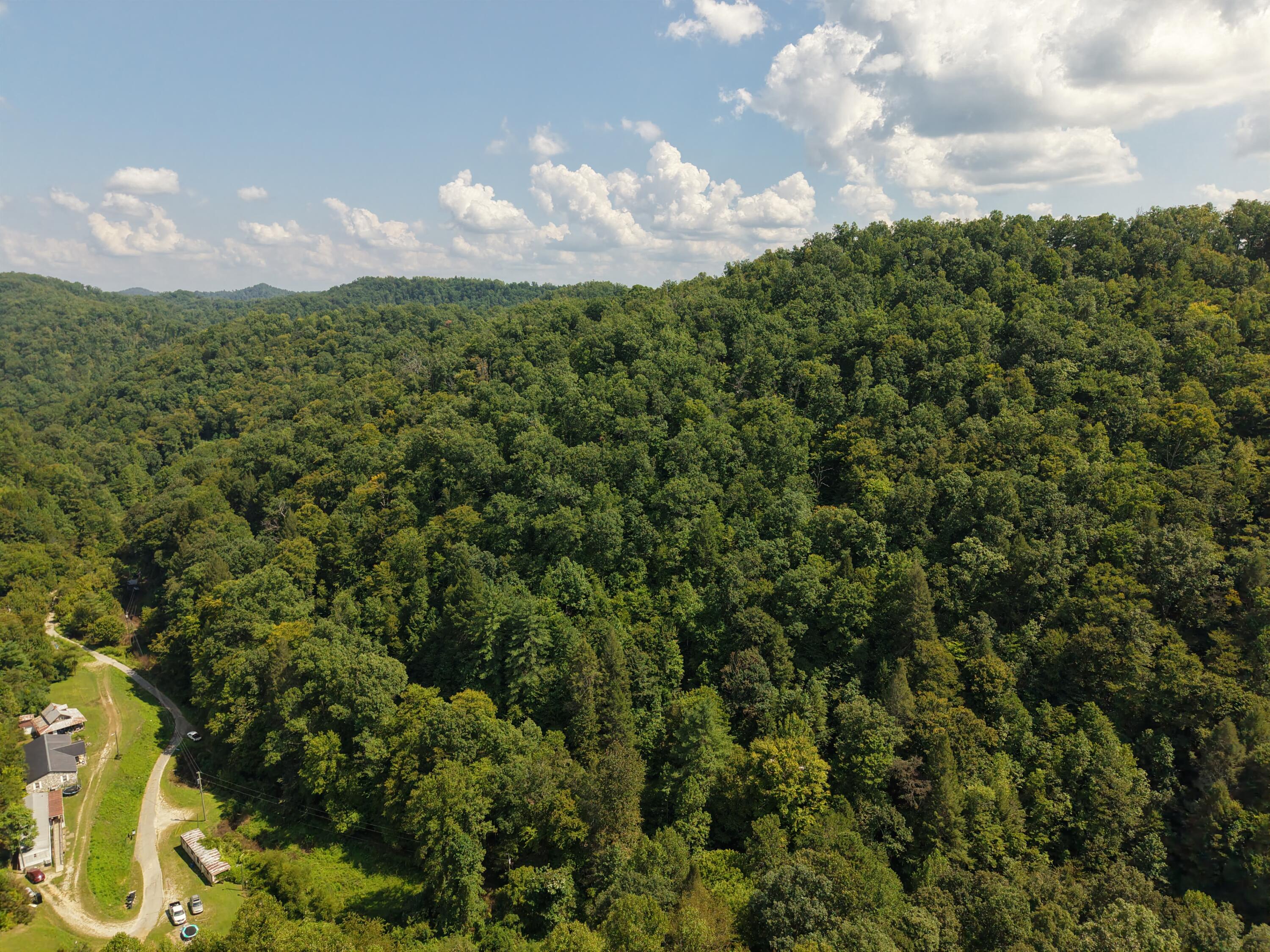 1081 Wooten Fork Road Property Photo 4