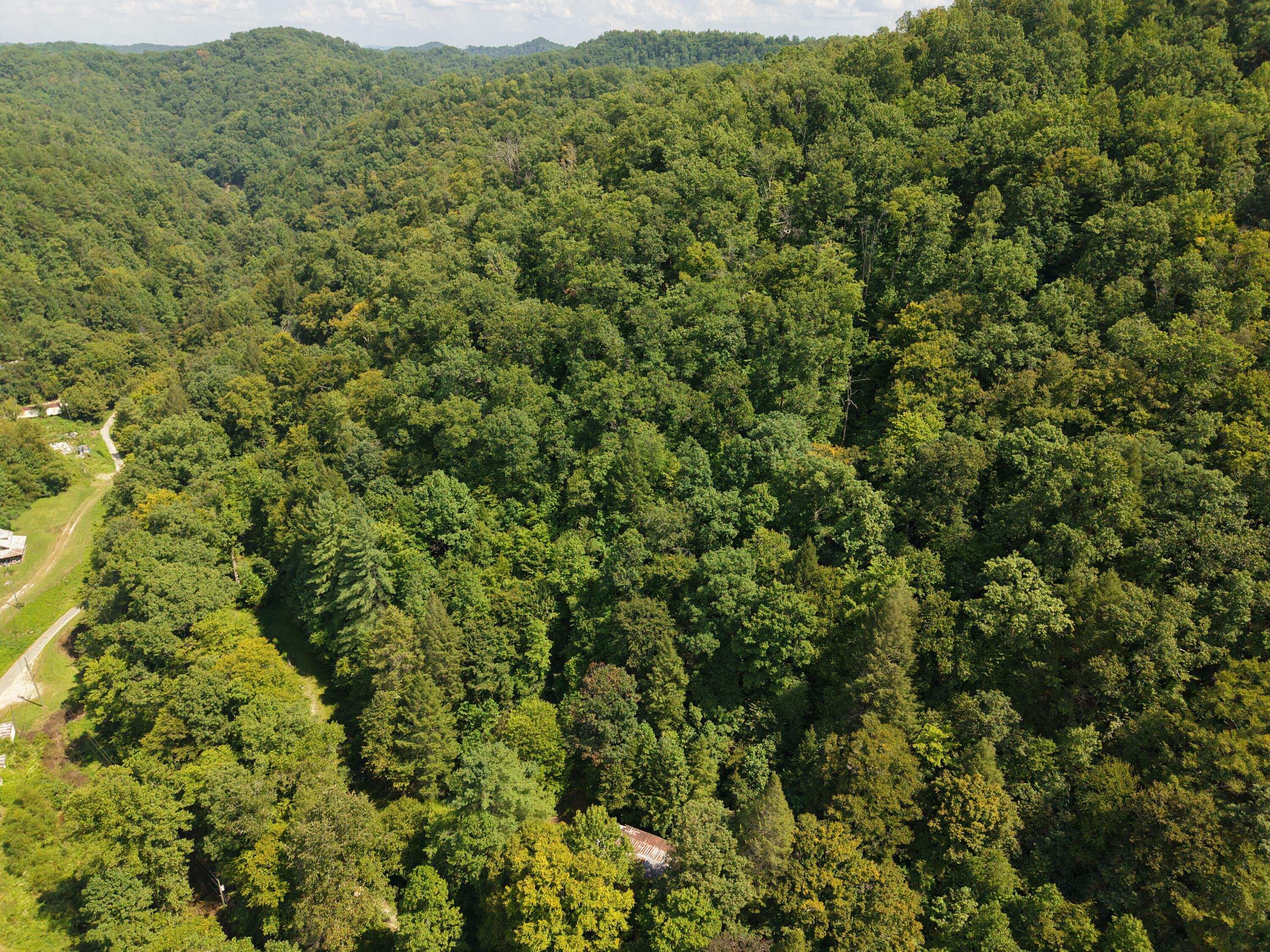 1081 Wooten Fork Road Property Photo 5