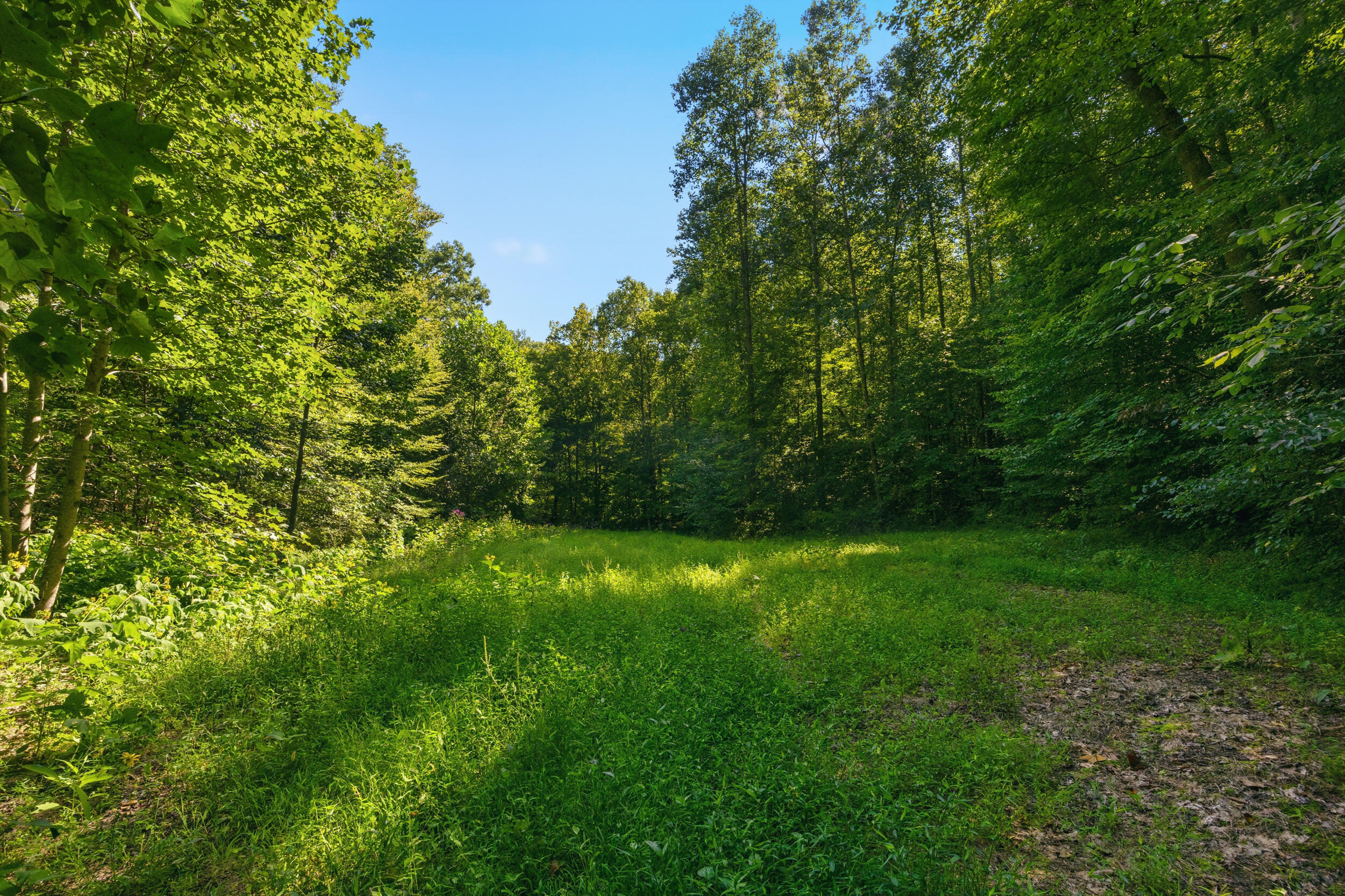 1562 High Ridge Road Property Photo 24