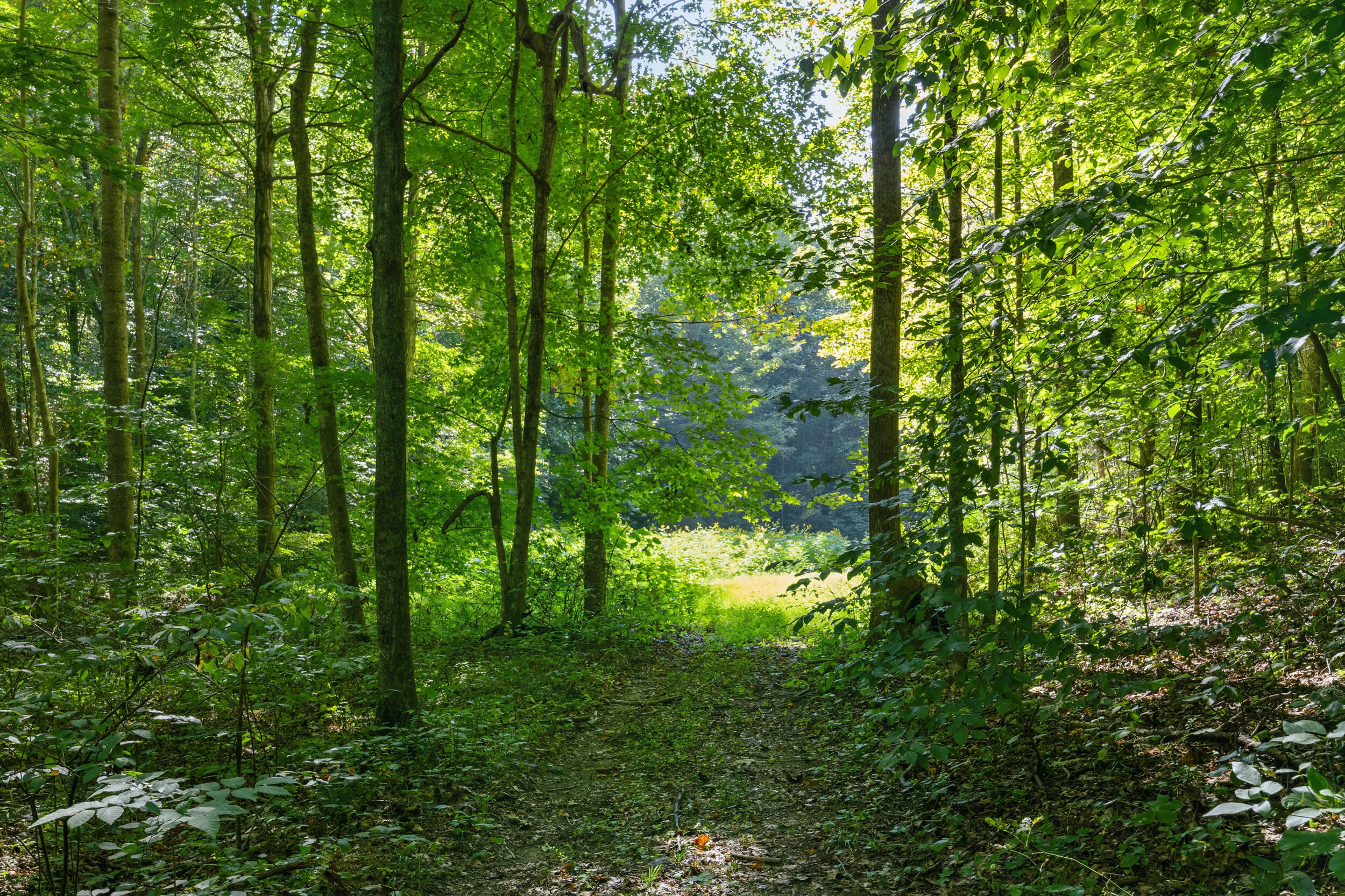 1562 High Ridge Road Property Photo 25
