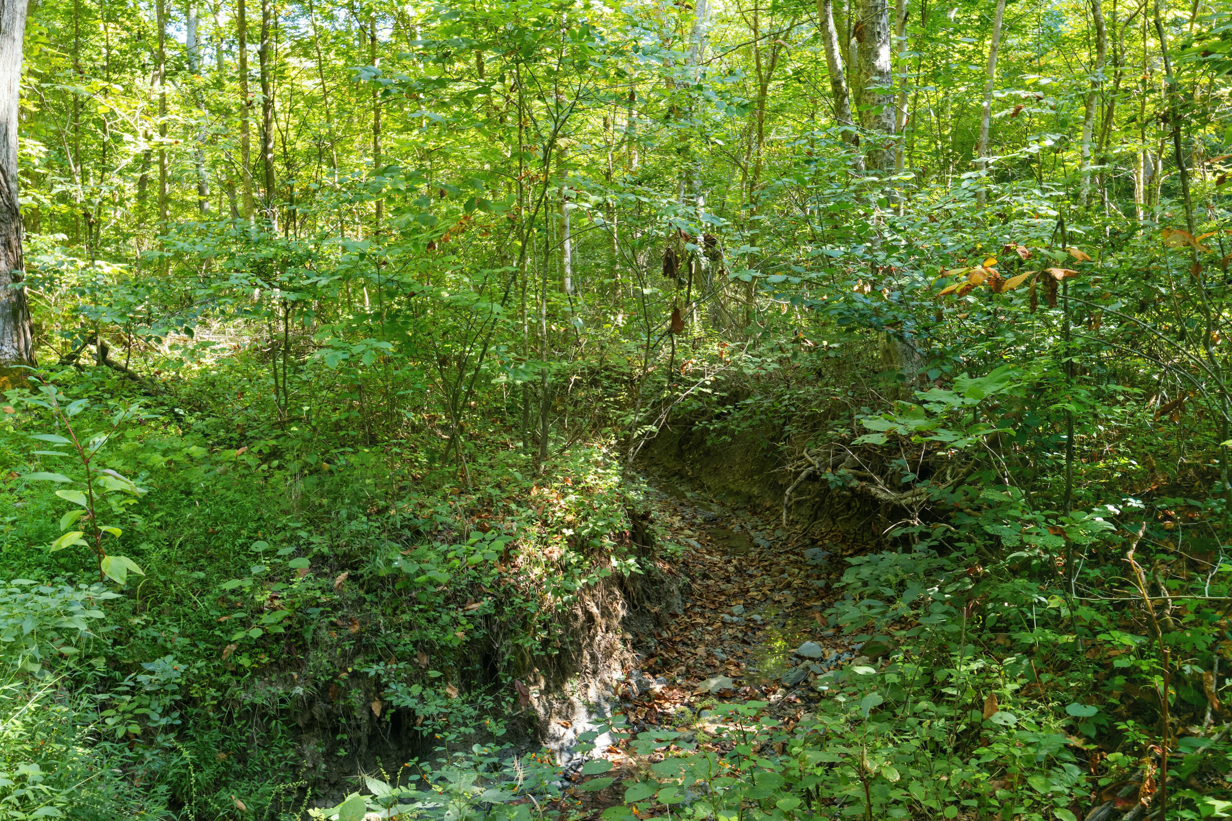 1562 High Ridge Road Property Photo 26