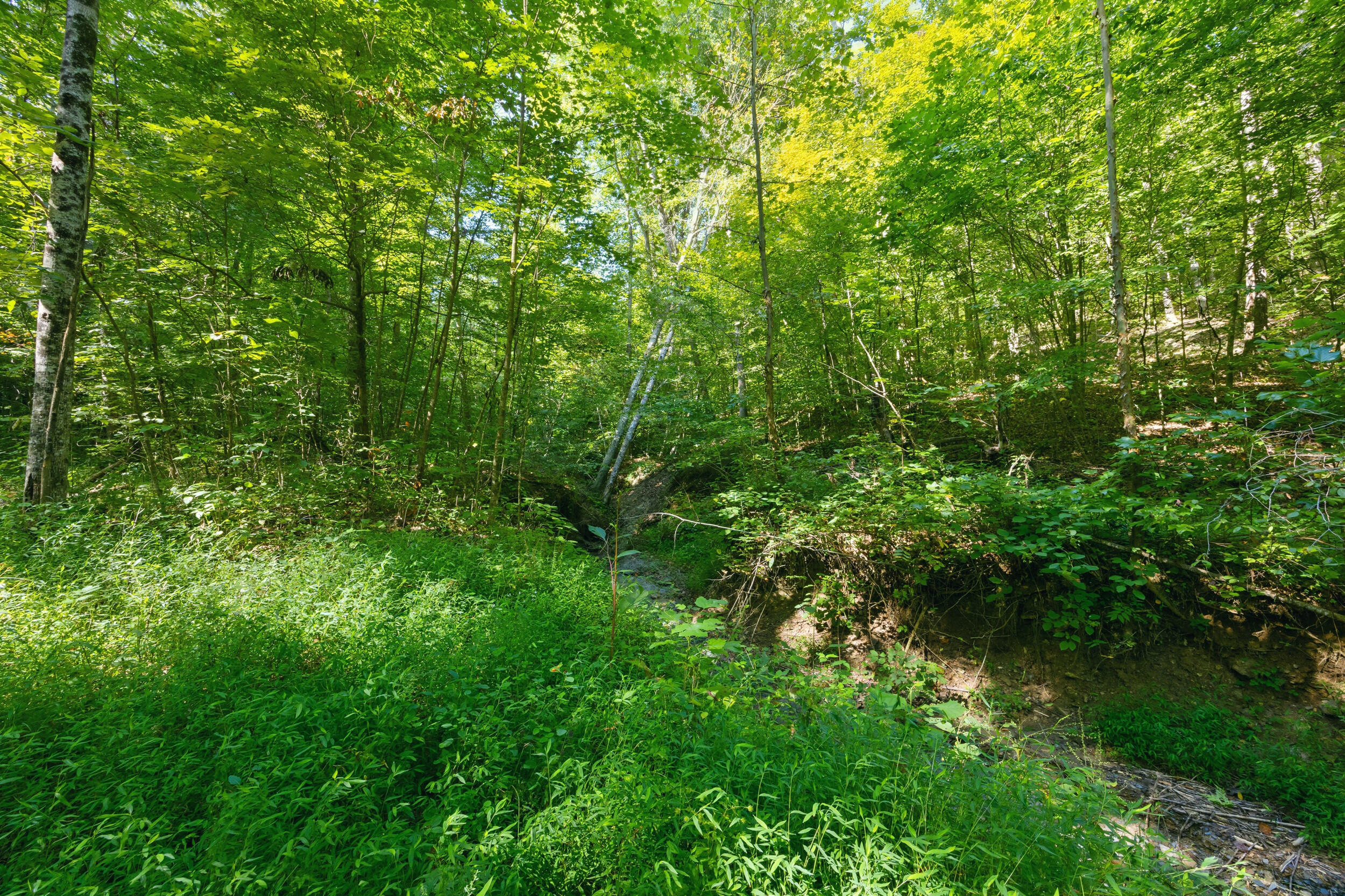 1562 High Ridge Road Property Photo 27