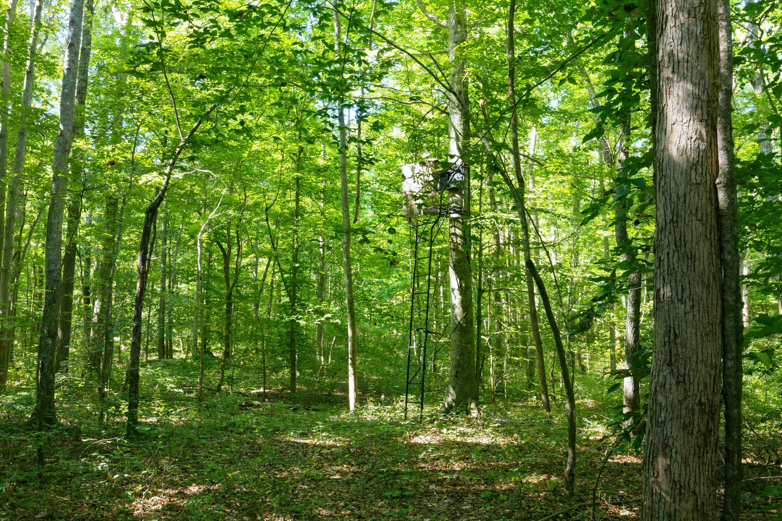 1562 High Ridge Road Property Photo 29