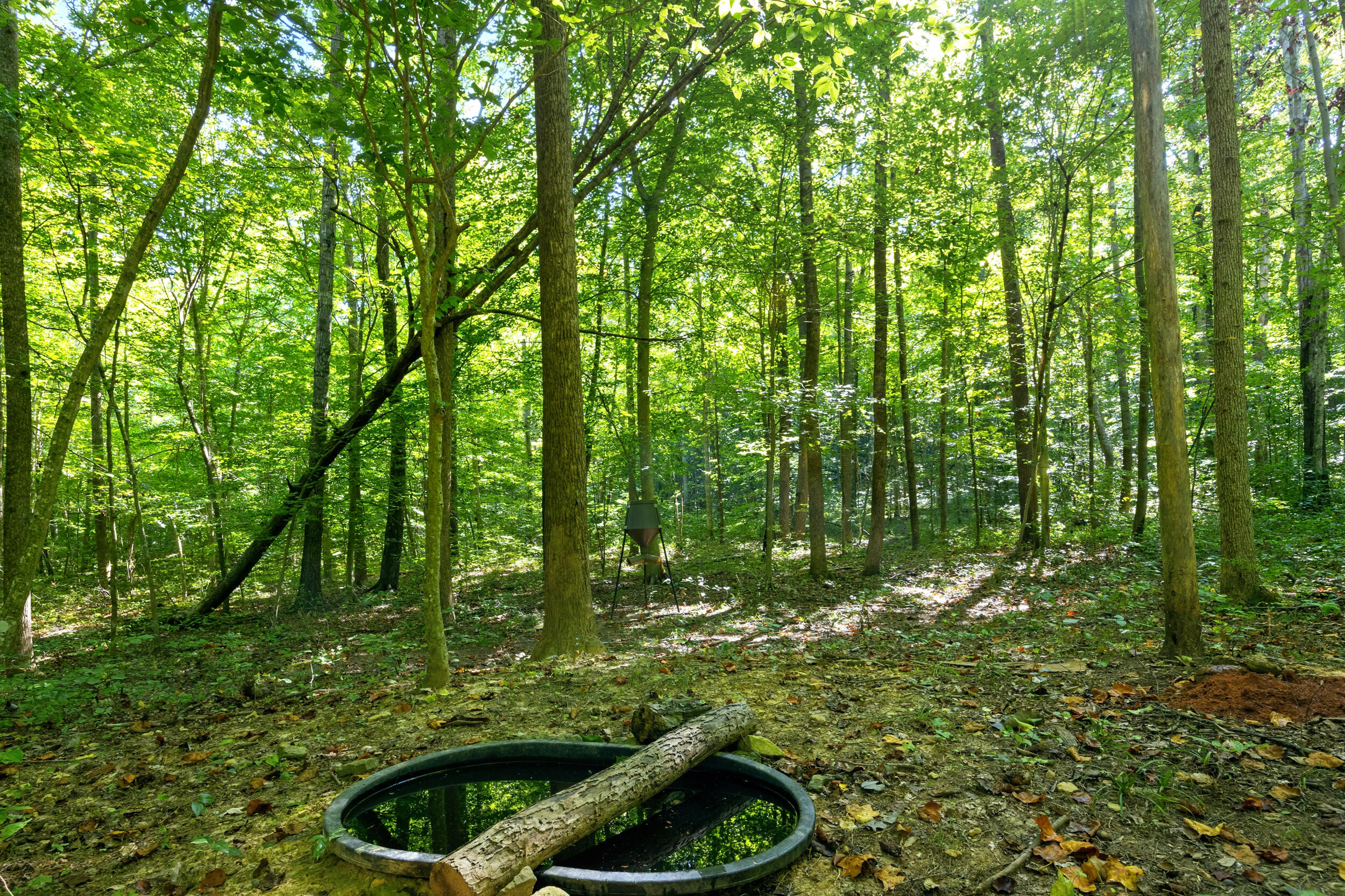 1562 High Ridge Road Property Photo 30
