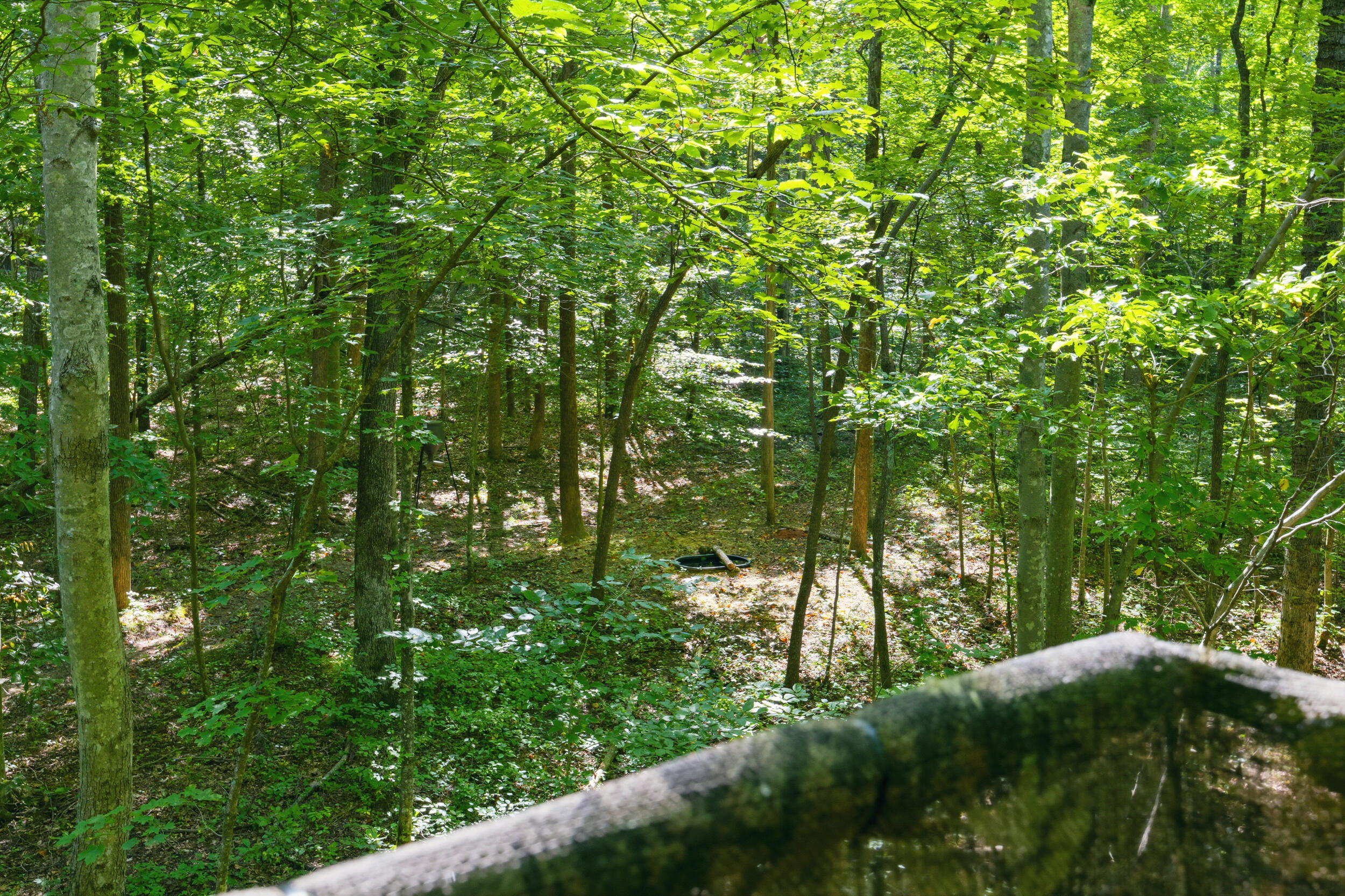 1562 High Ridge Road Property Photo 31
