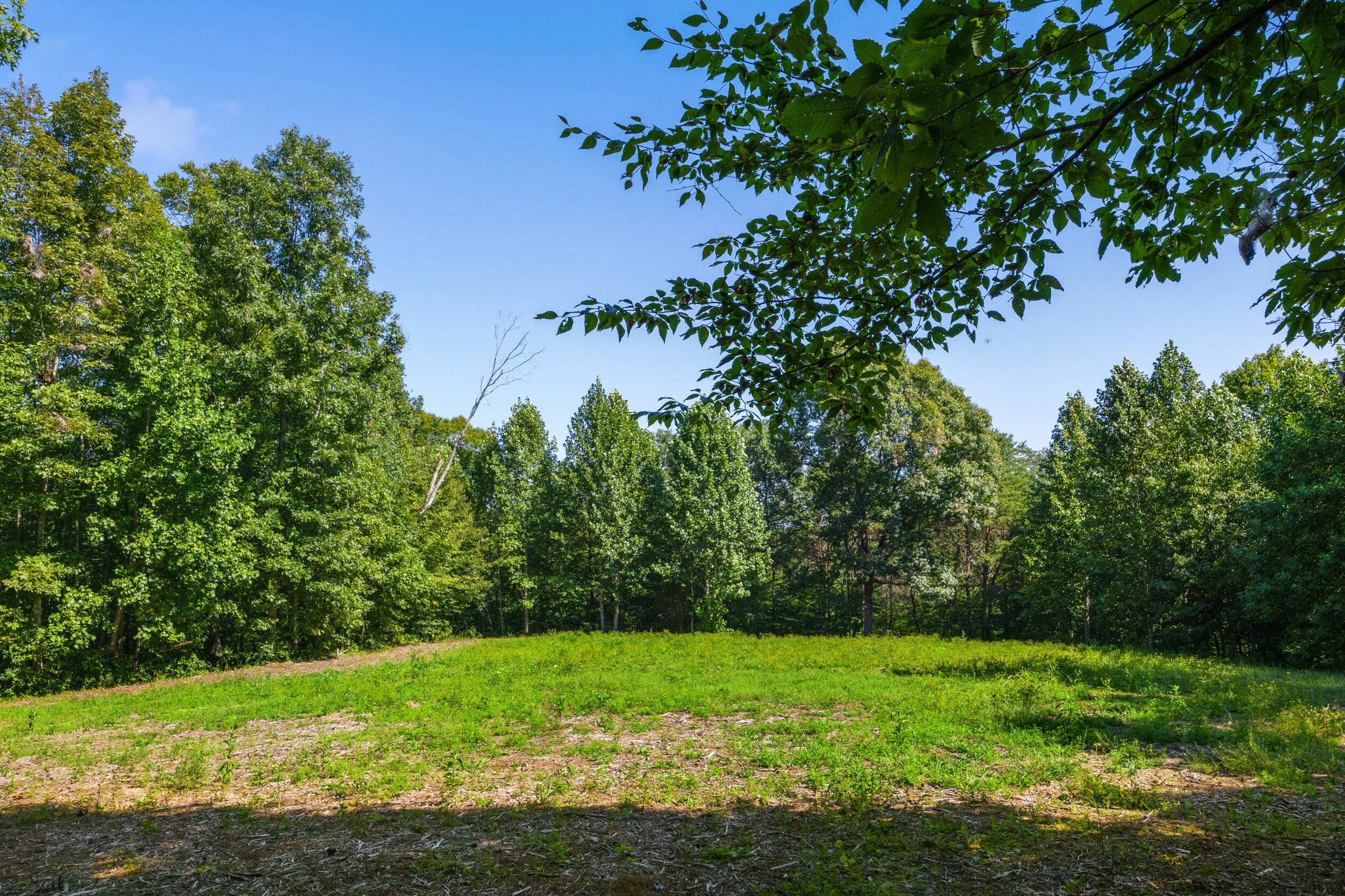 1562 High Ridge Road Property Photo 32