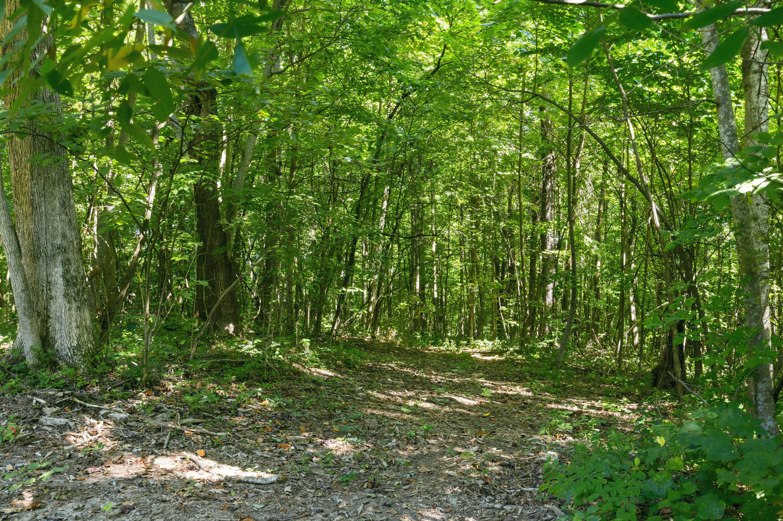 1562 High Ridge Road Property Photo 34