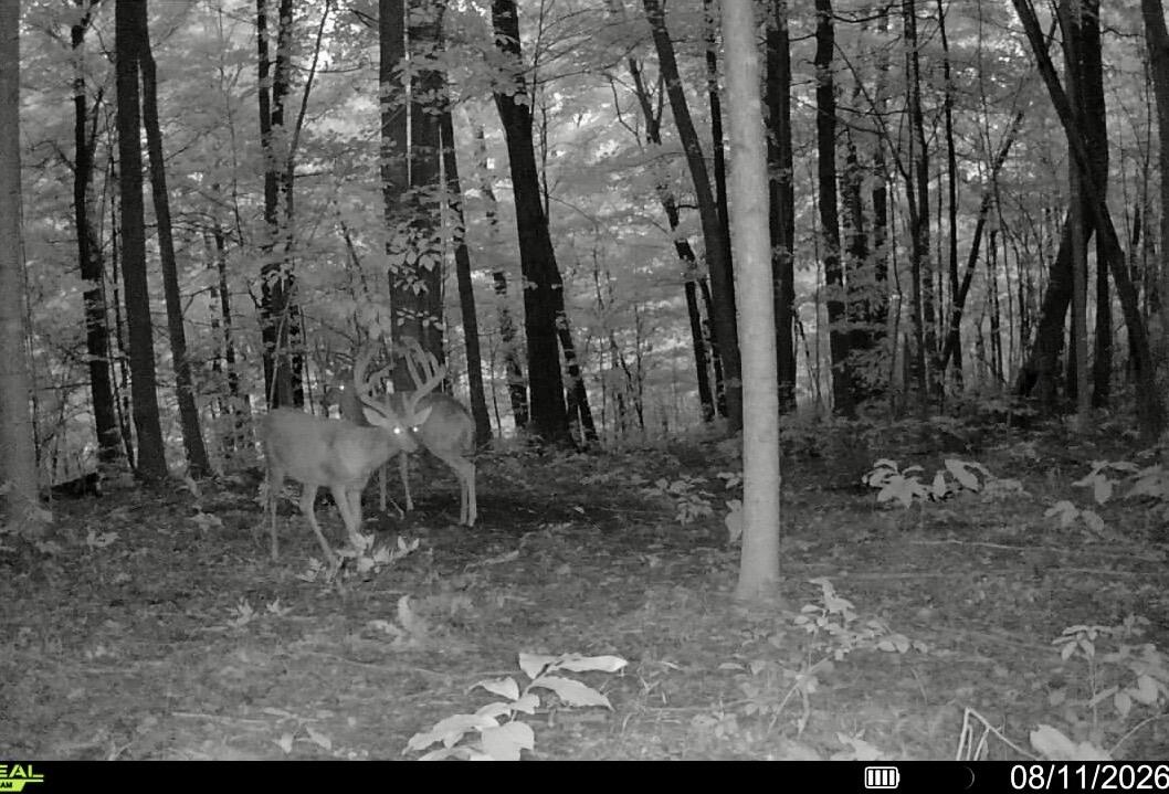 1562 High Ridge Road Property Photo 46