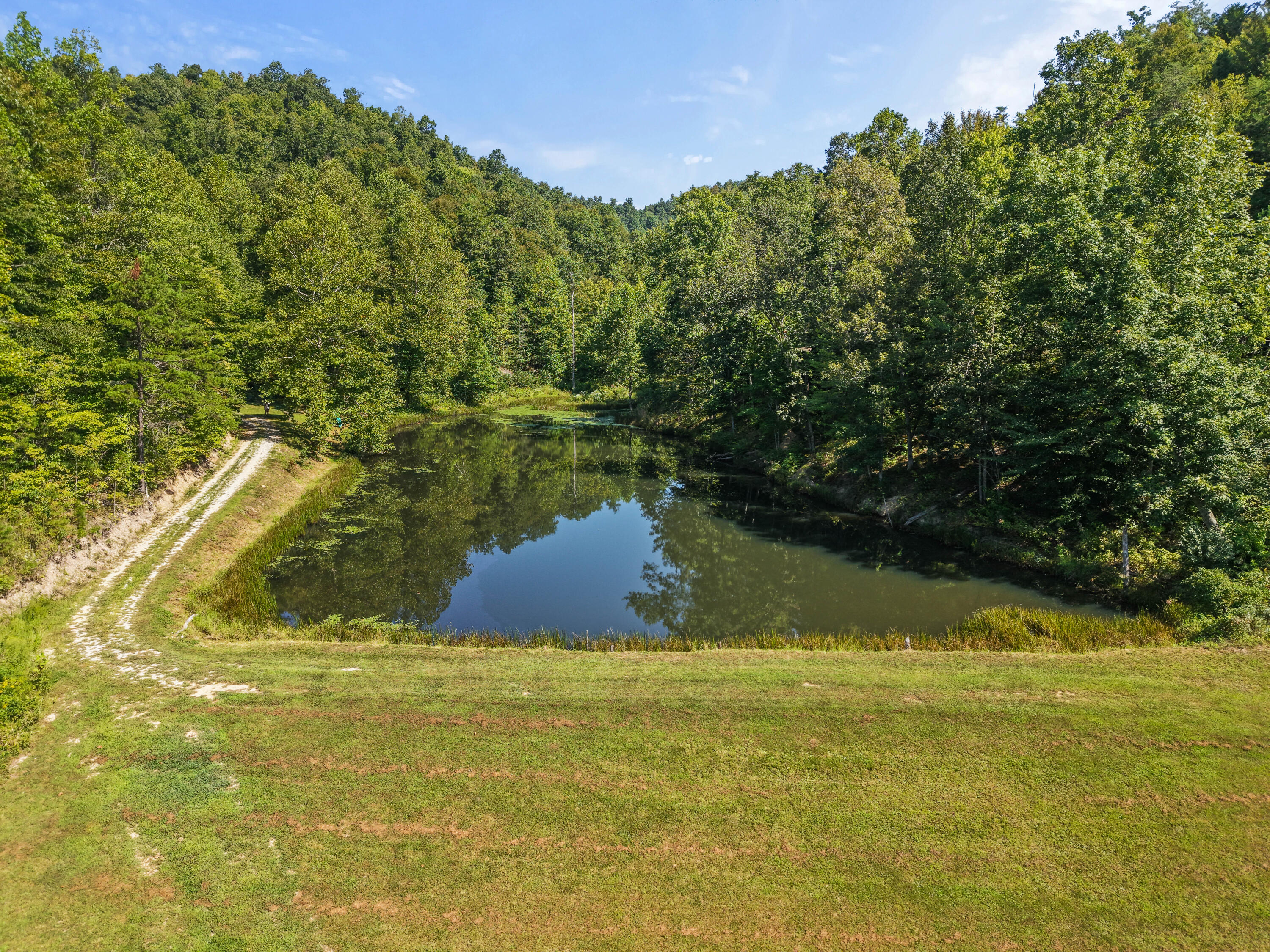 1401 Ky-437 Property Photo 11