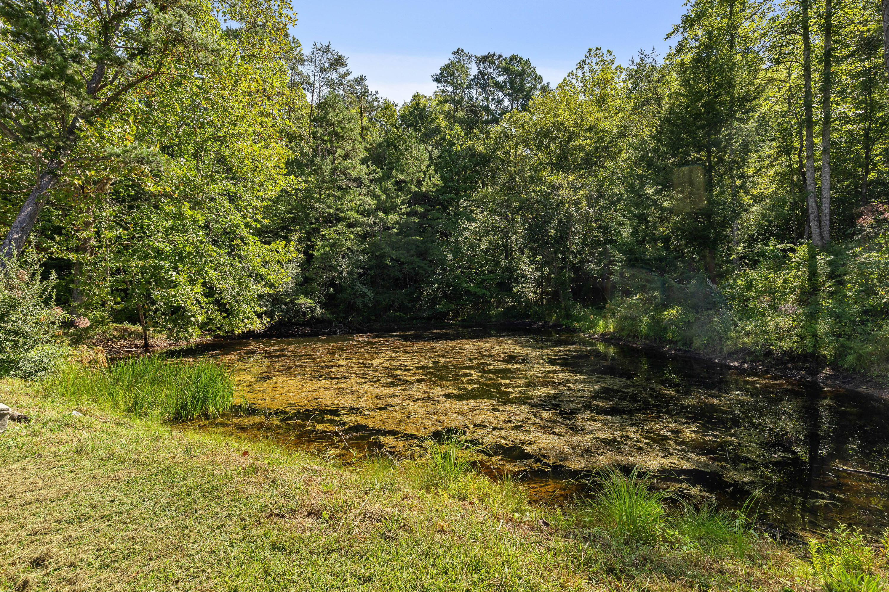 1401 Ky-437 Property Photo 59
