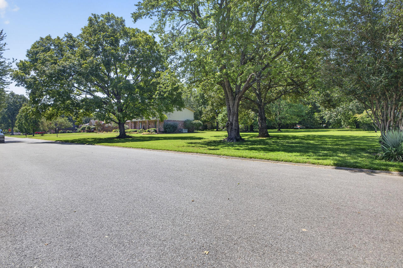 1002 County Cork Drive Property Photo 59