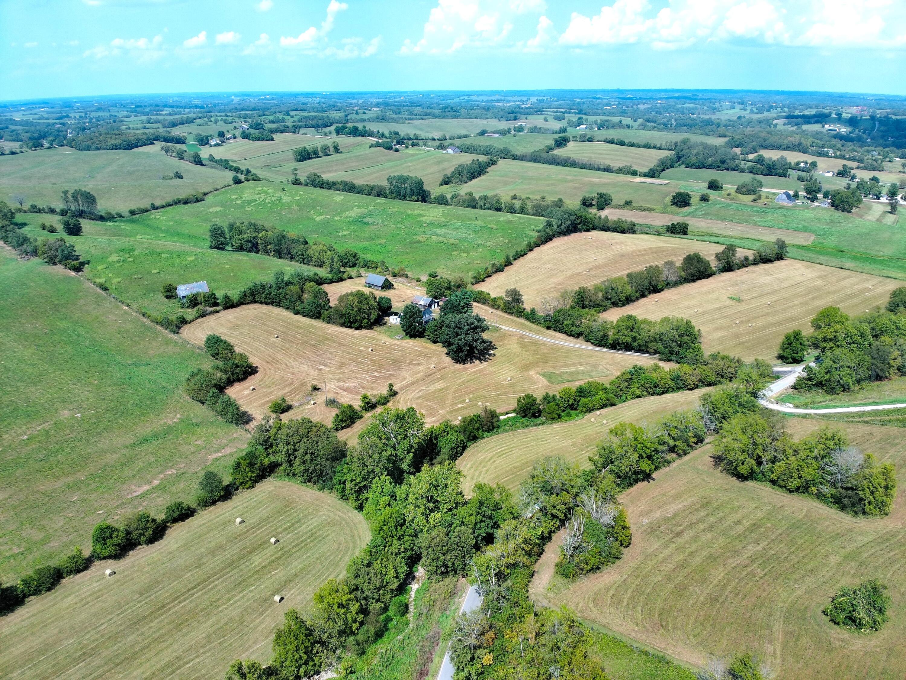 1363 Levy Road Property Photo 2