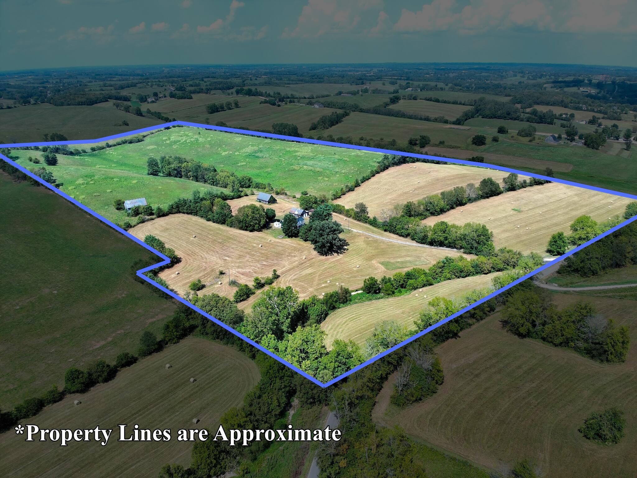 1363 Levy Road Property Photo 3