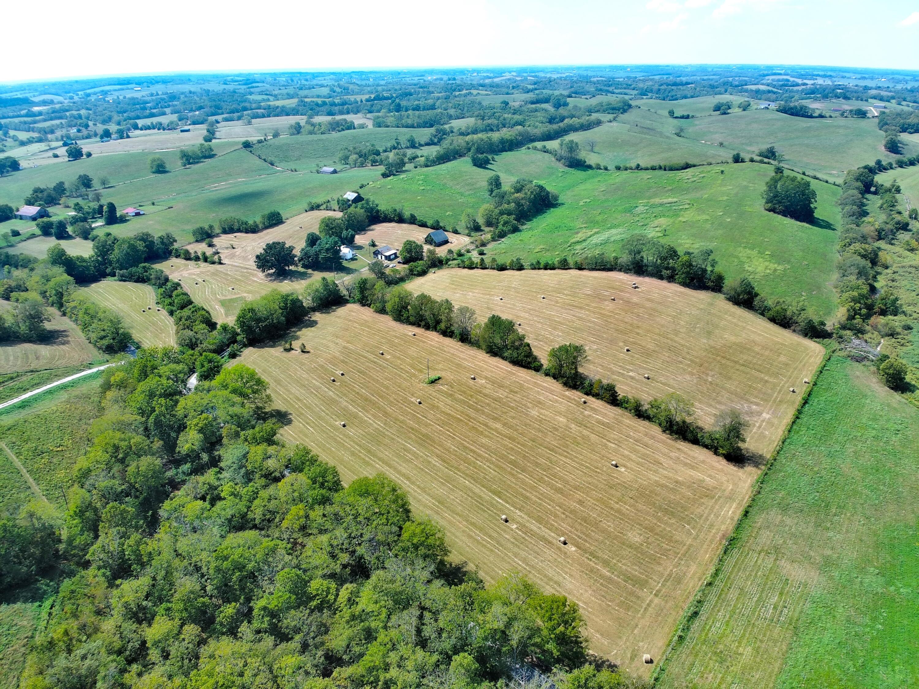 1363 Levy Road Property Photo 4