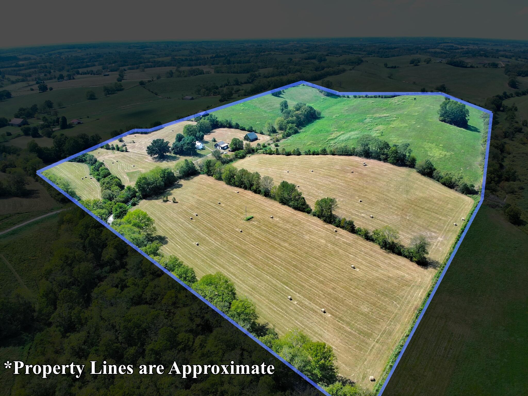 1363 Levy Road Property Photo 5