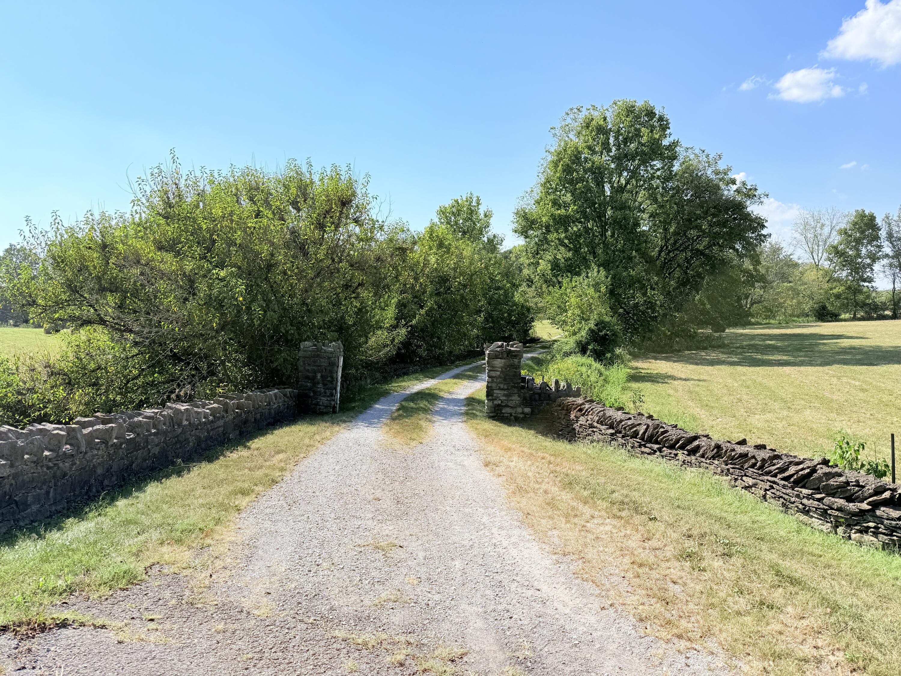 1363 Levy Road Property Photo 8