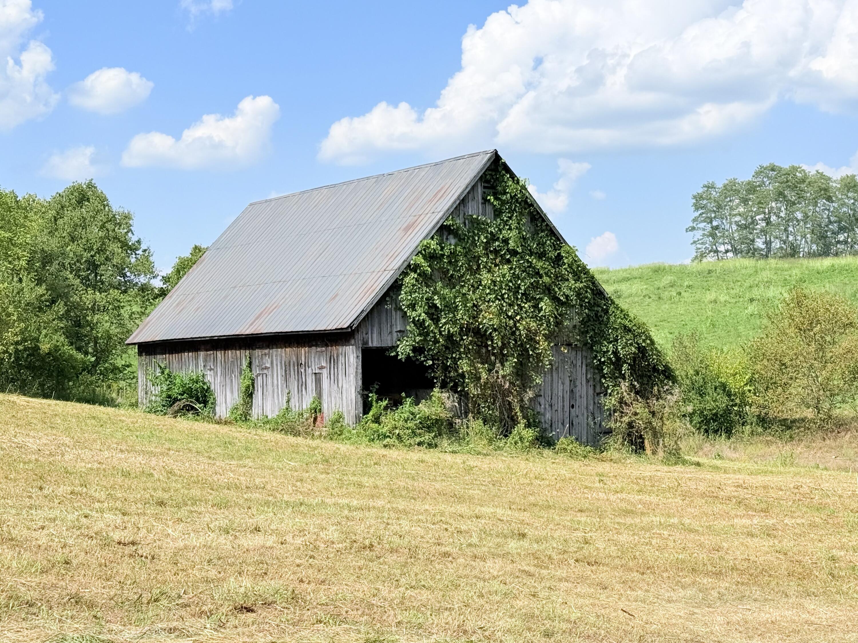 1363 Levy Road Property Photo 16