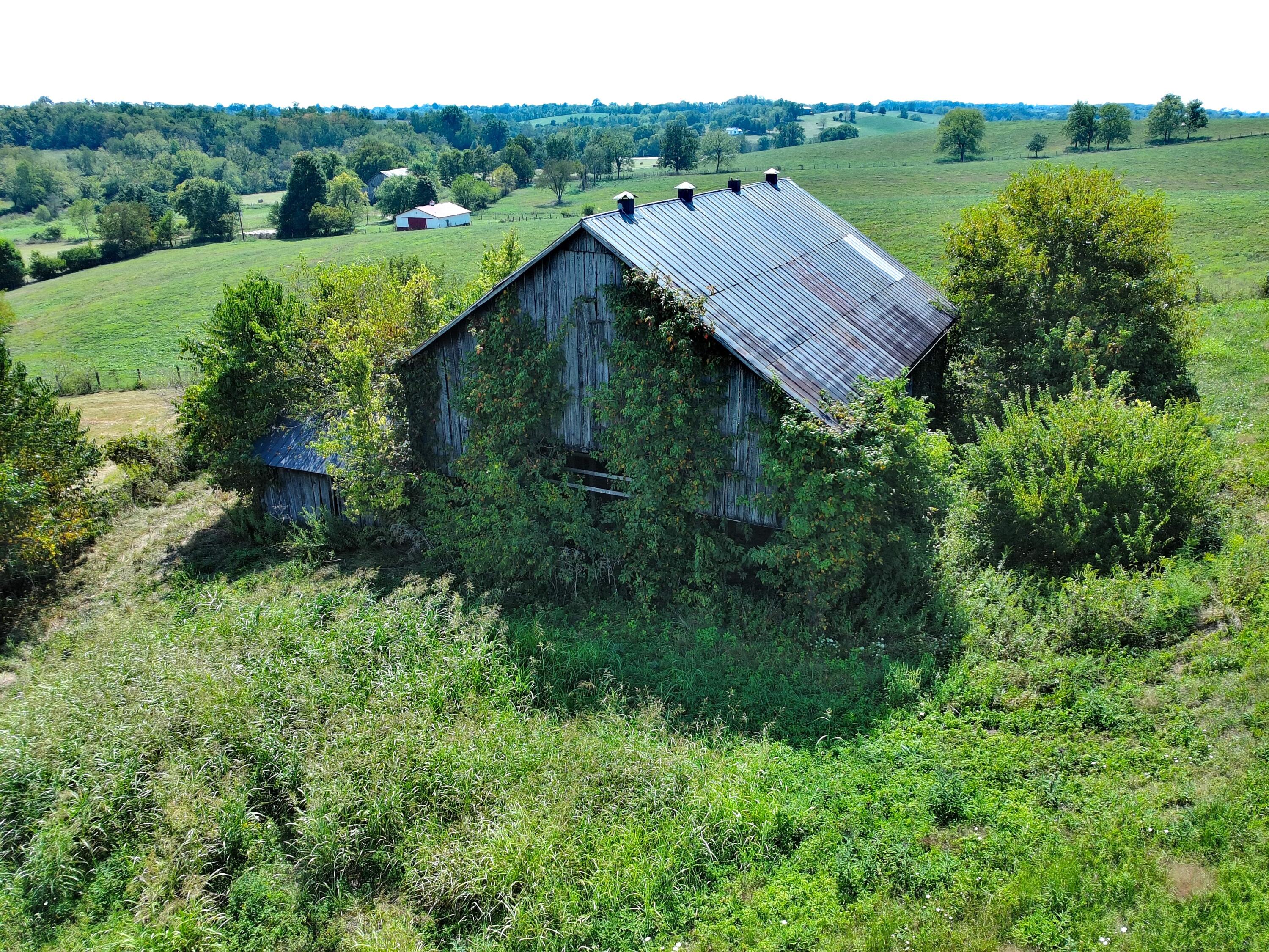 1363 Levy Road Property Photo 17