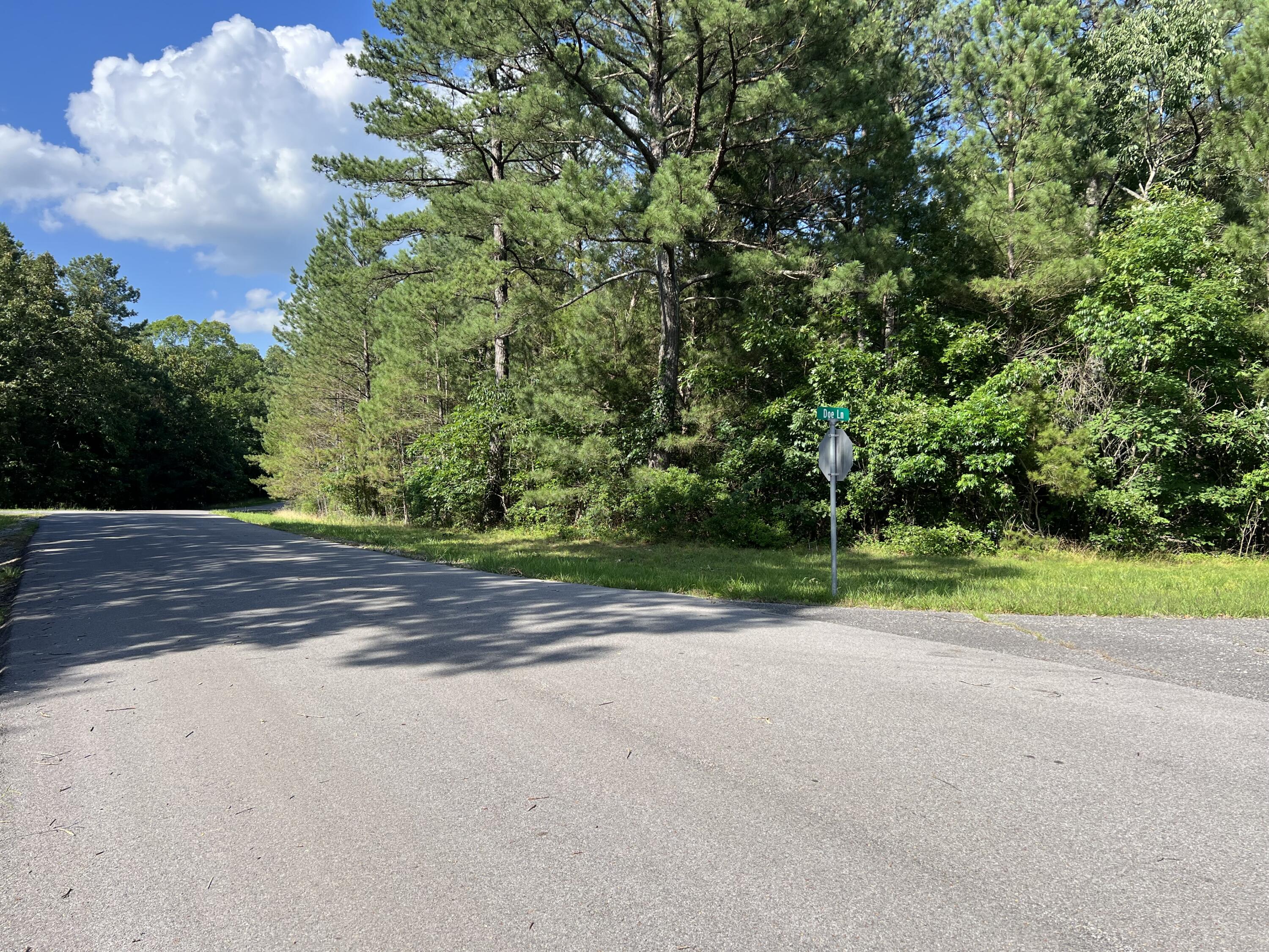 Unit 1 Lot 47 Waterfowl Road Property Photo 2