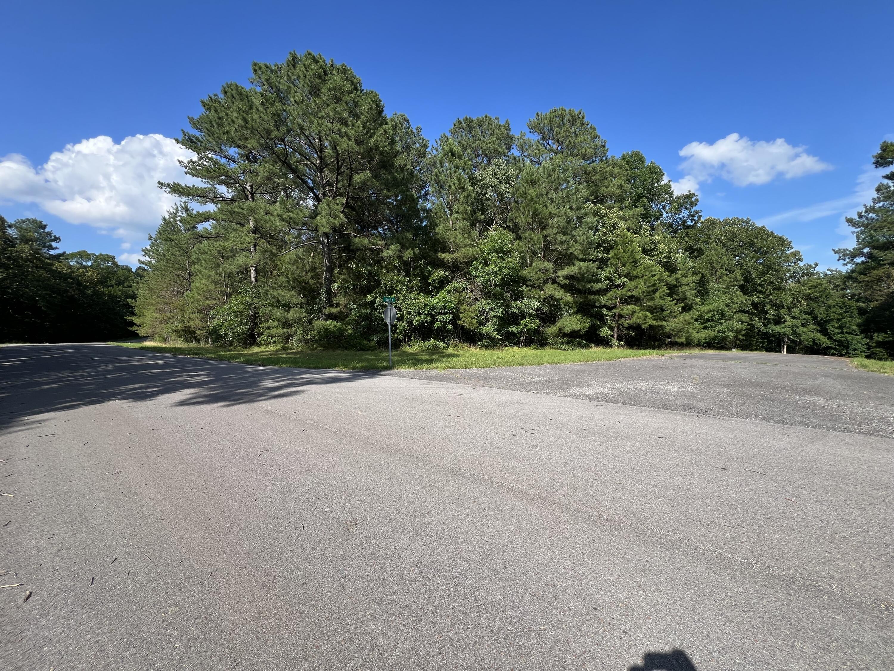 Unit 1 Lot 47 Waterfowl Road Property Photo 4
