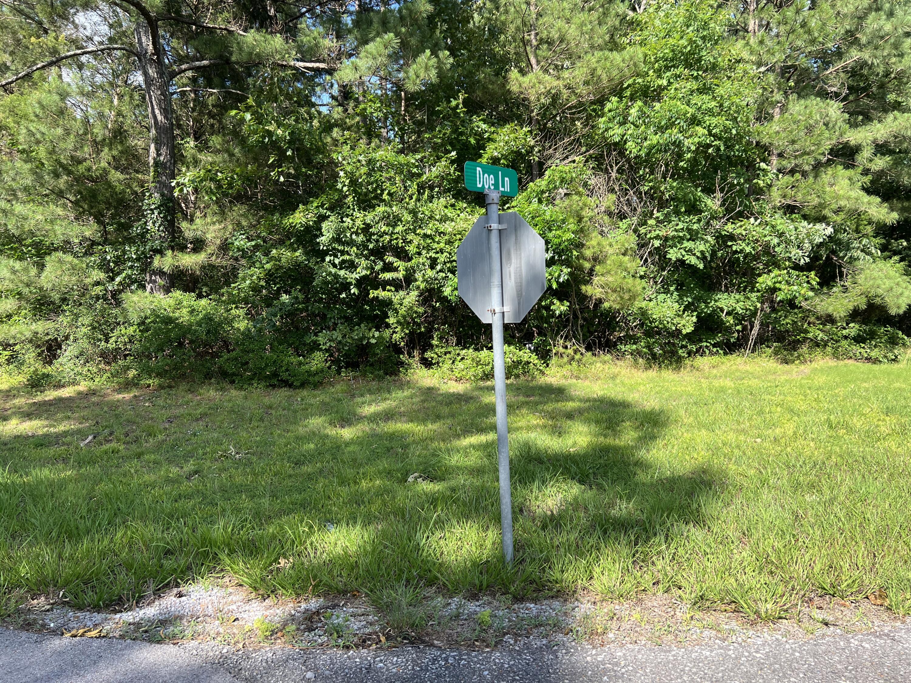 Unit 1 Lot 47 Waterfowl Road Property Photo 5