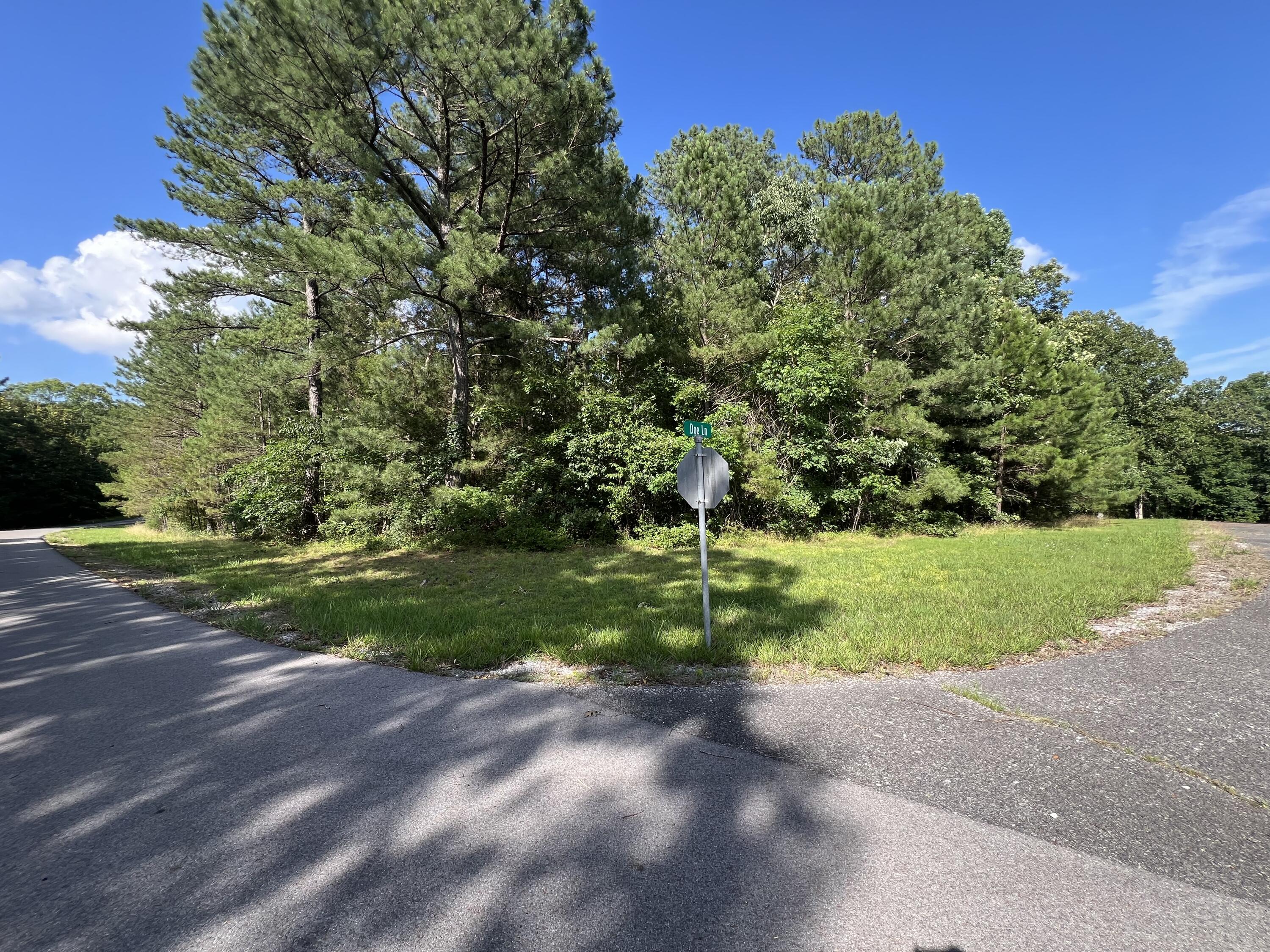 Unit 1 Lot 47 Waterfowl Road Property Photo 6
