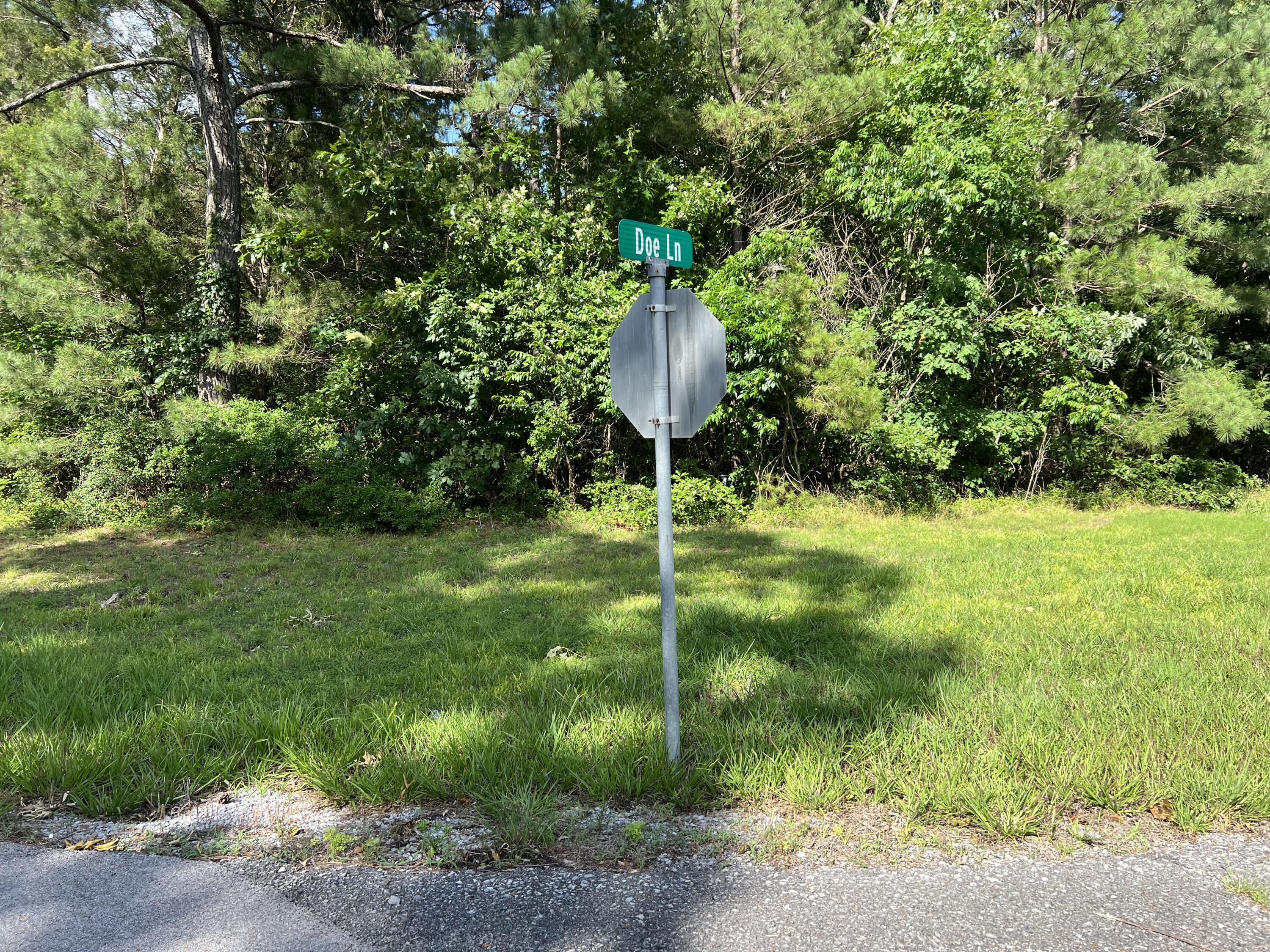 Unit 1 Lot 47 Waterfowl Road Property Photo 7
