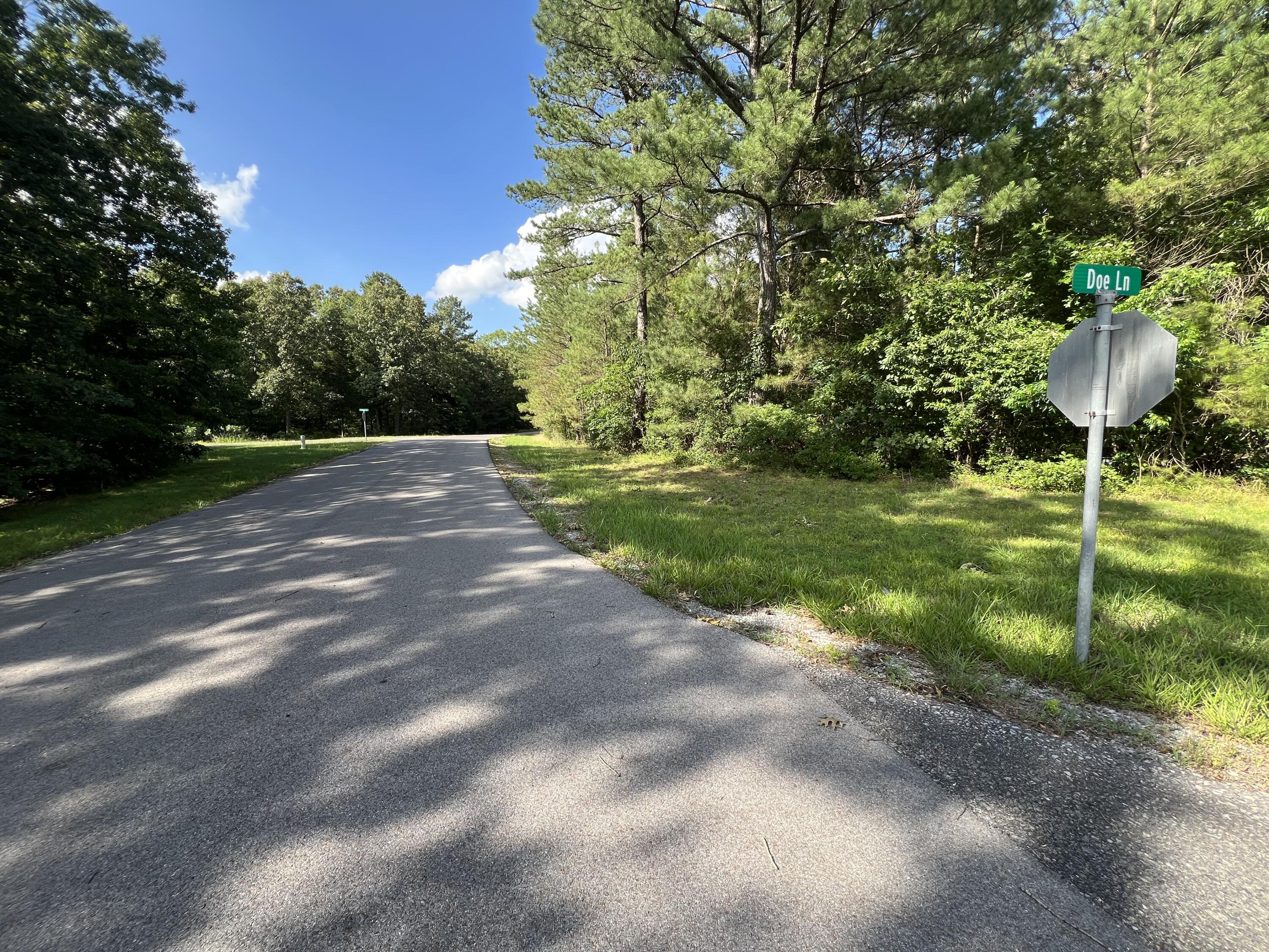 Unit 1 Lot 47 Waterfowl Road Property Photo 9