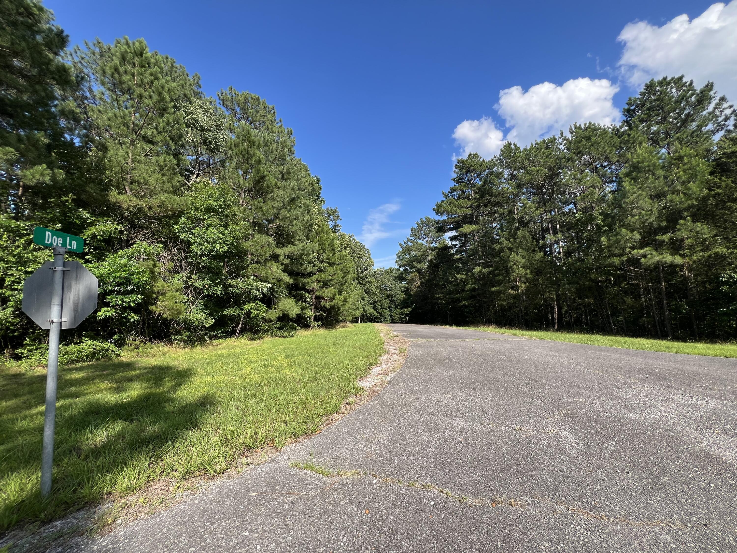 Unit 1 Lot 47 Waterfowl Road Property Photo 10