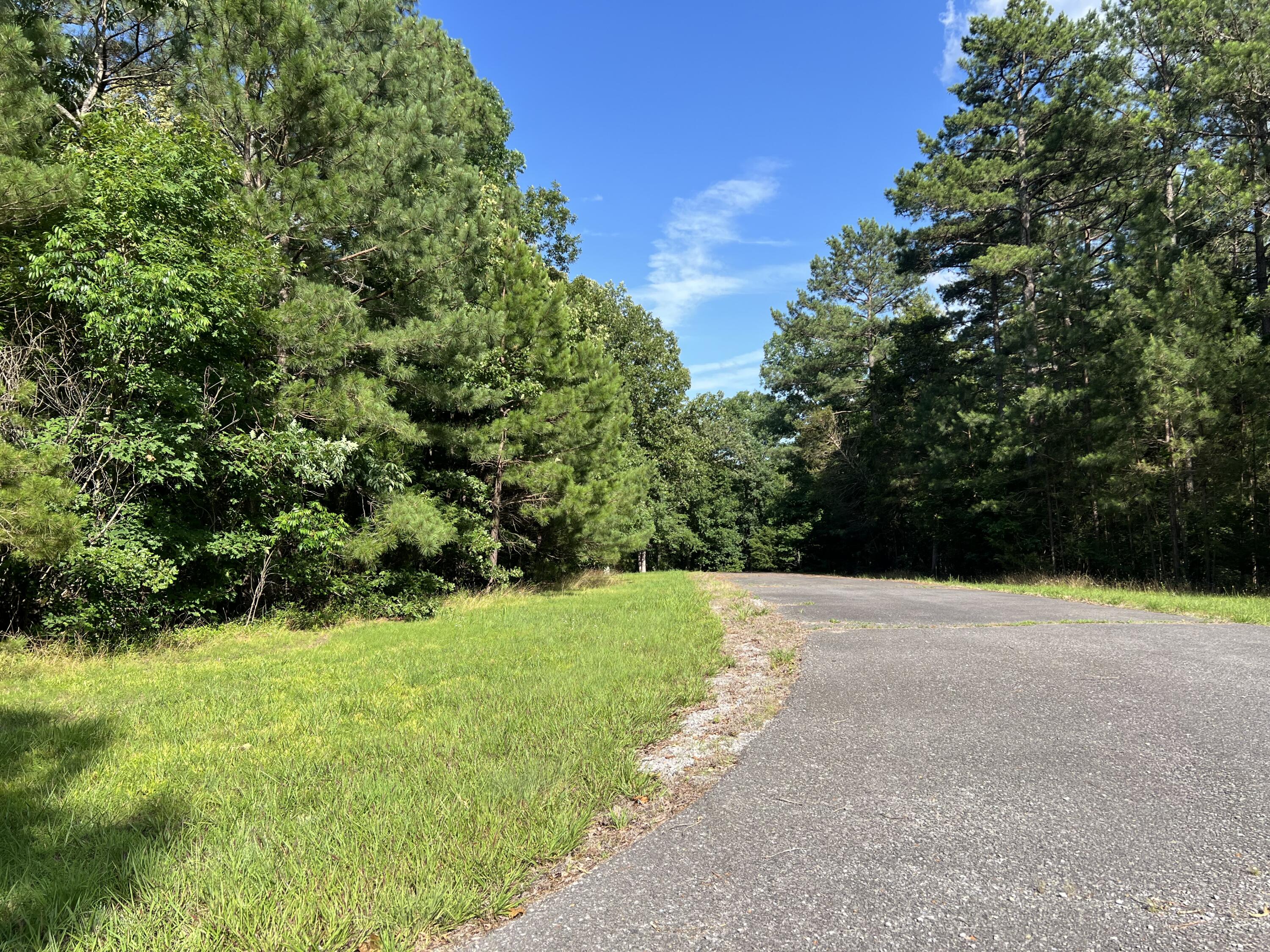 Unit 1 Lot 47 Waterfowl Road Property Photo 11