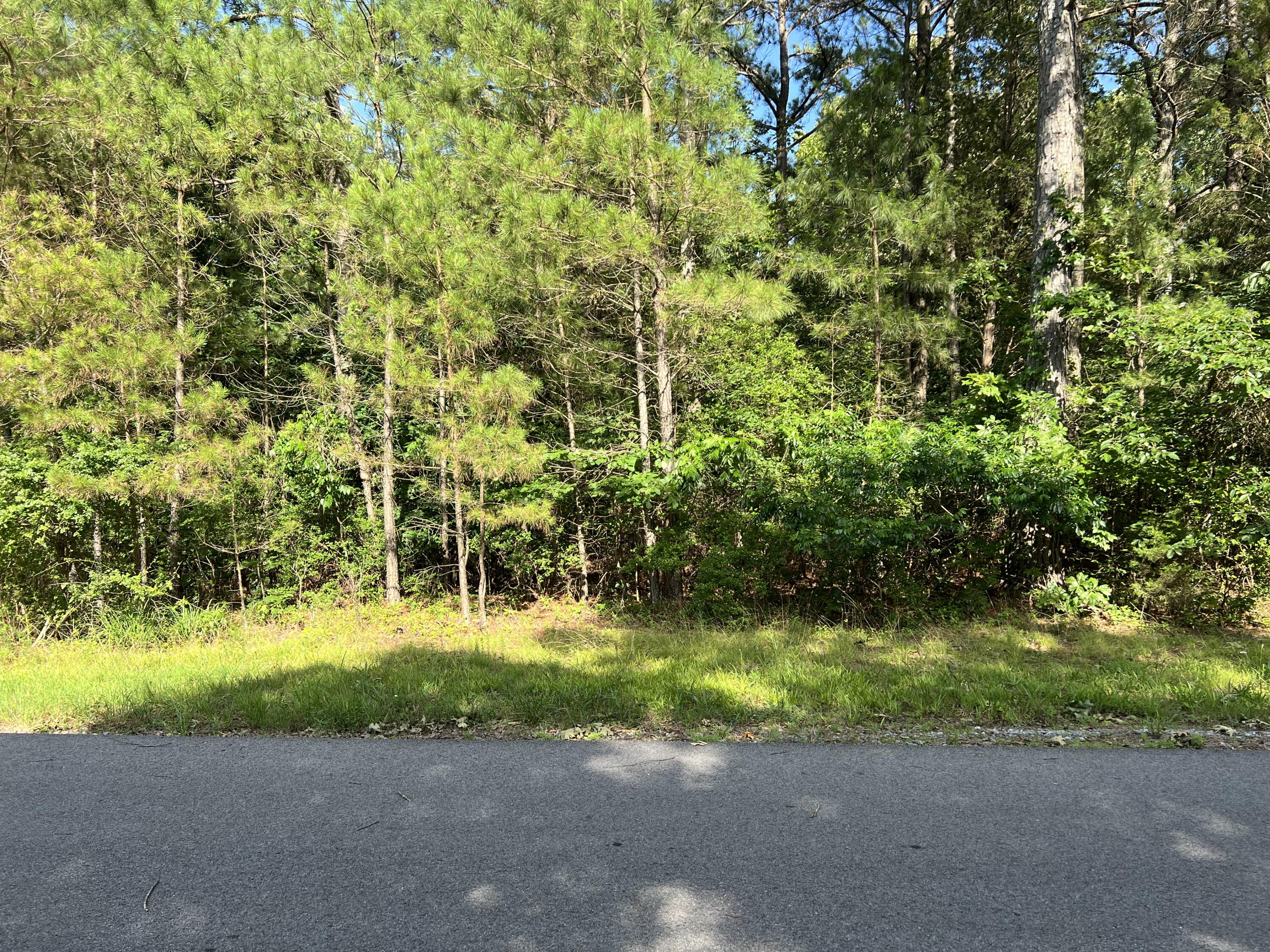 Unit 1 Lot 47 Waterfowl Road Property Photo 12