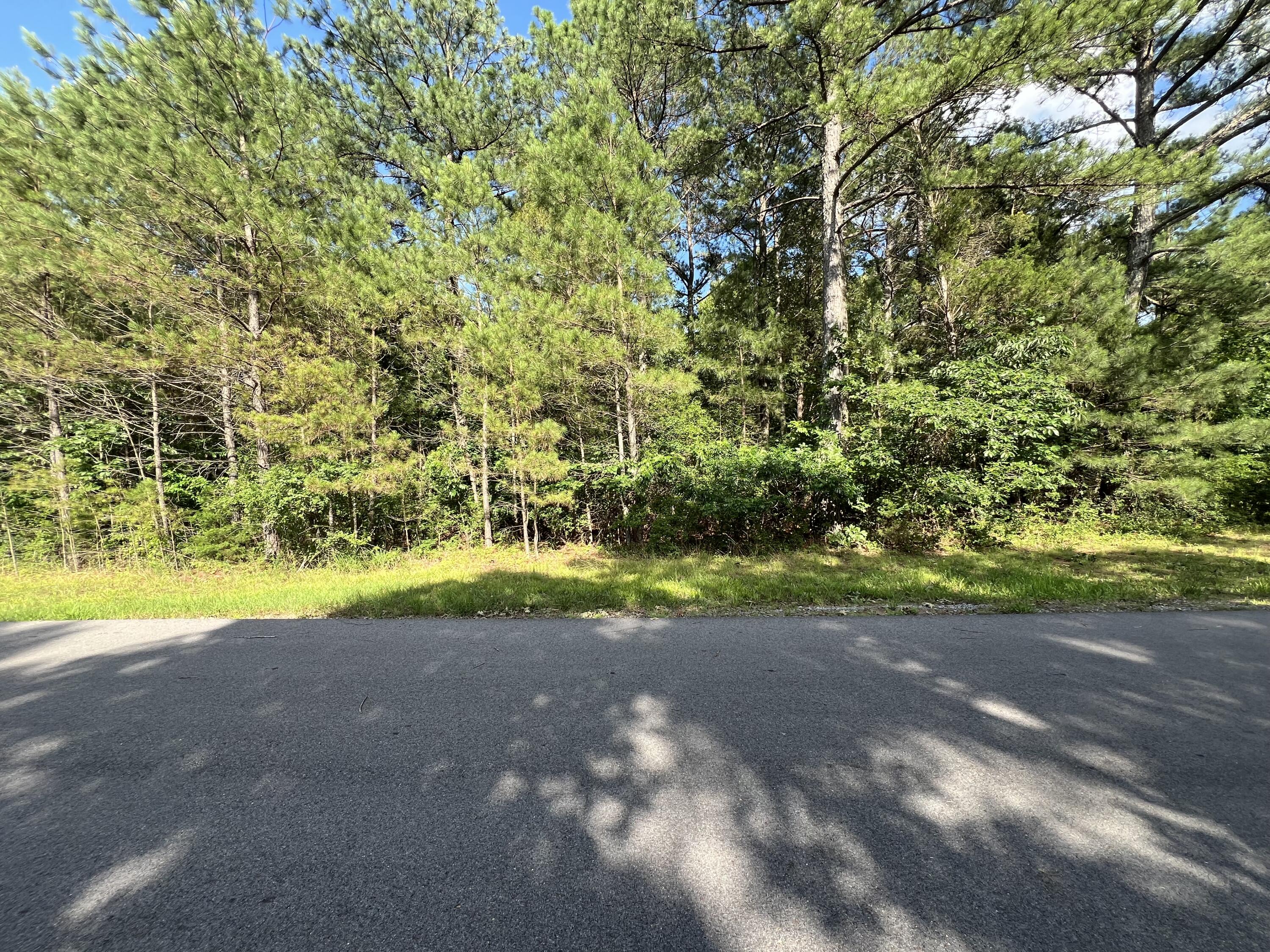 Unit 1 Lot 47 Waterfowl Road Property Photo 13